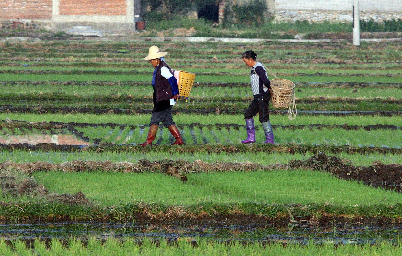 LINDEN CENTER - XIZHOU VILLAGE YUNNAN CHINA (90).JPG