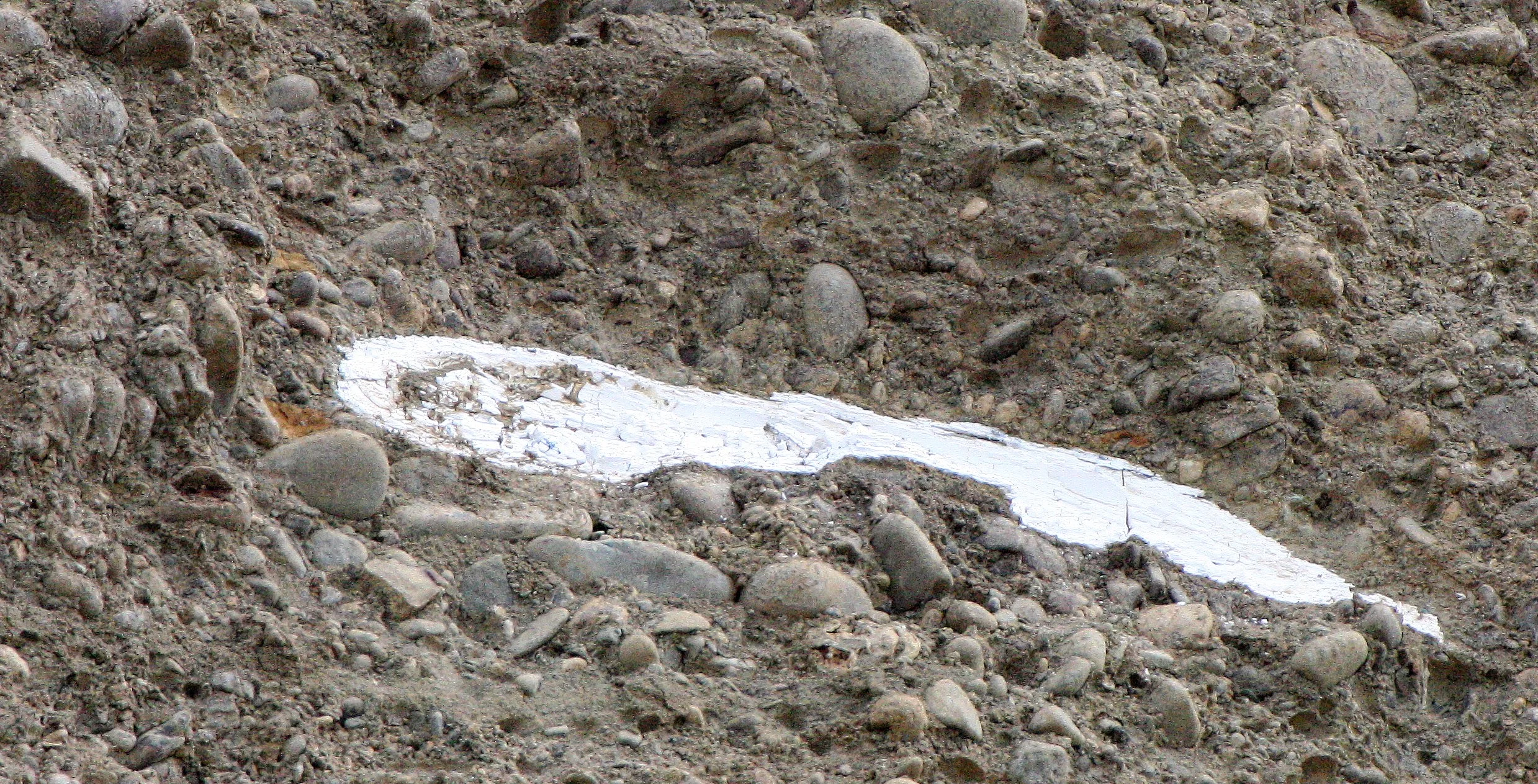 MASTADON TUSK COMING FROM LAKE FARM BLUFFS (3).JPG