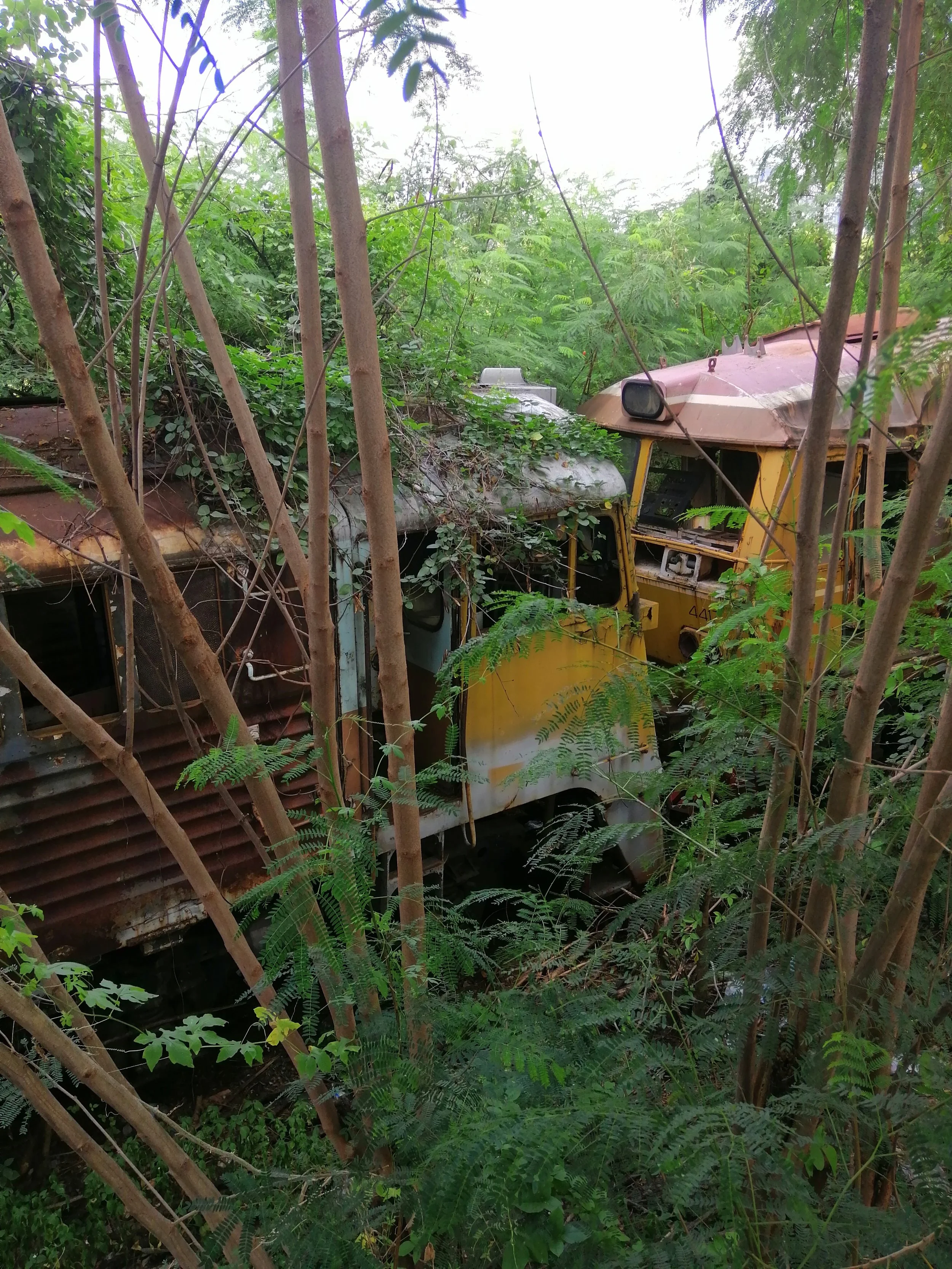 2019 Motorcycle Ride with Cokie to Samut Prakan  (5).jpg