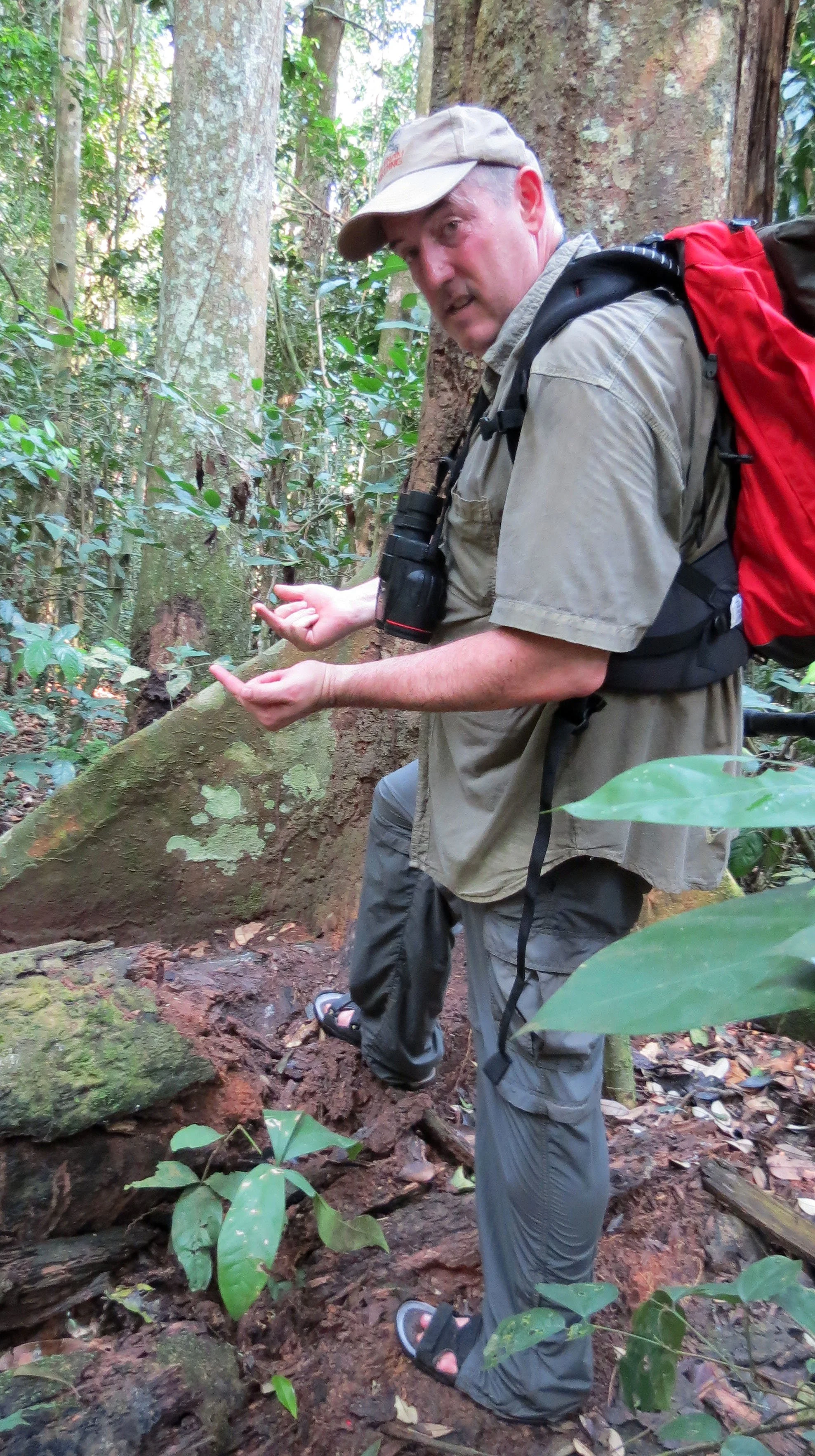 DZANGA NDOKI NATIONAL PARK  - CENTRAL AFRICAN REPUBLIC (32).JPG