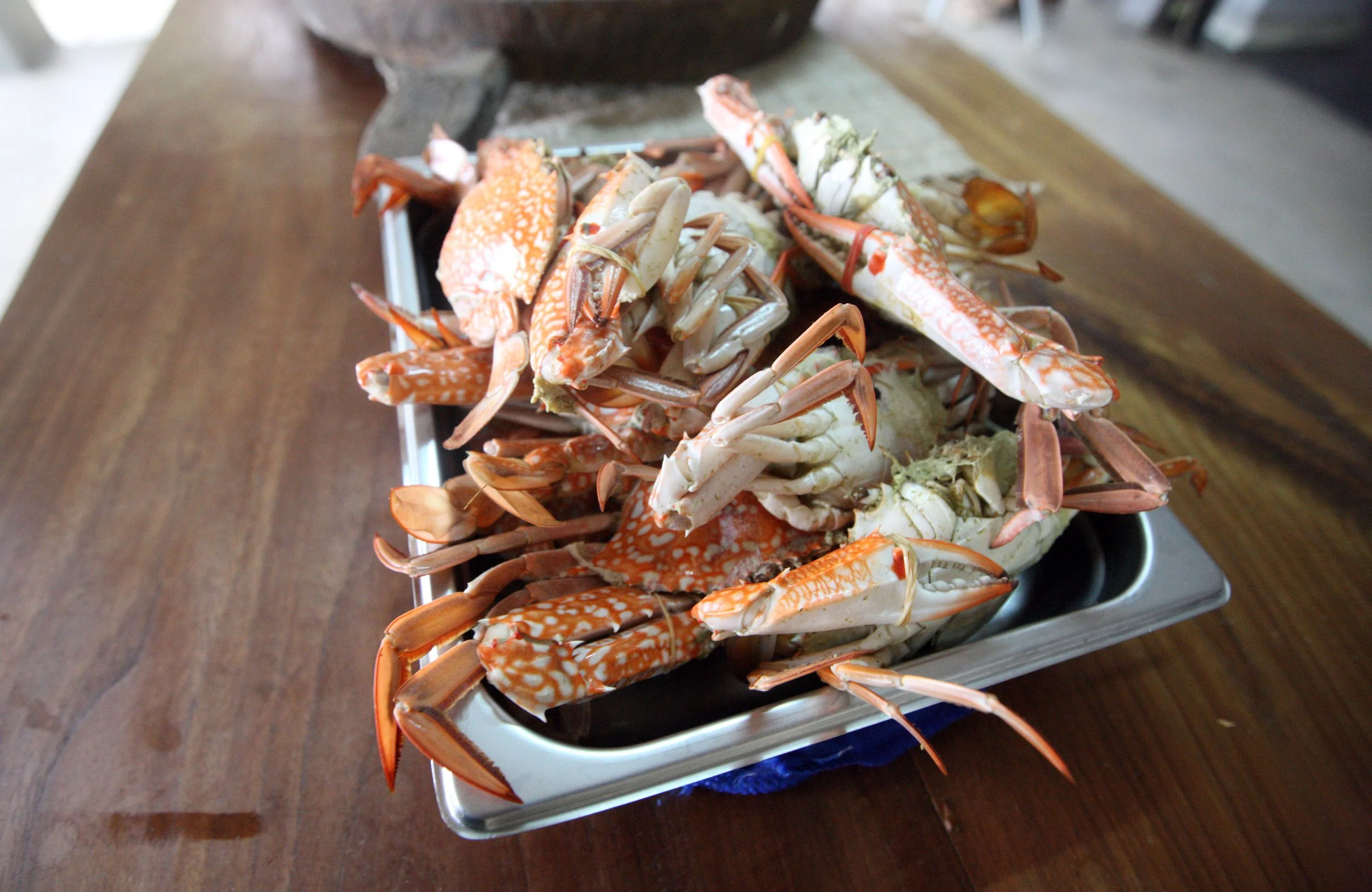 2015 Koh Lanta Songkran Break (6).JPG