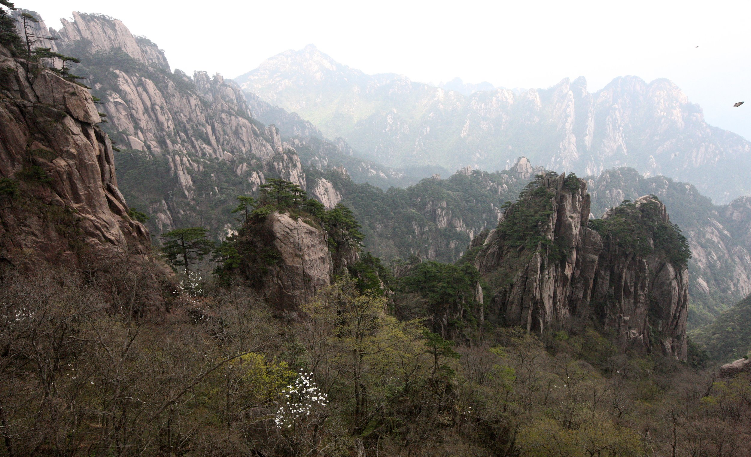 HUANGSHAN NATIONAL PARK ANHUI PROVINCE CHINA (16).JPG