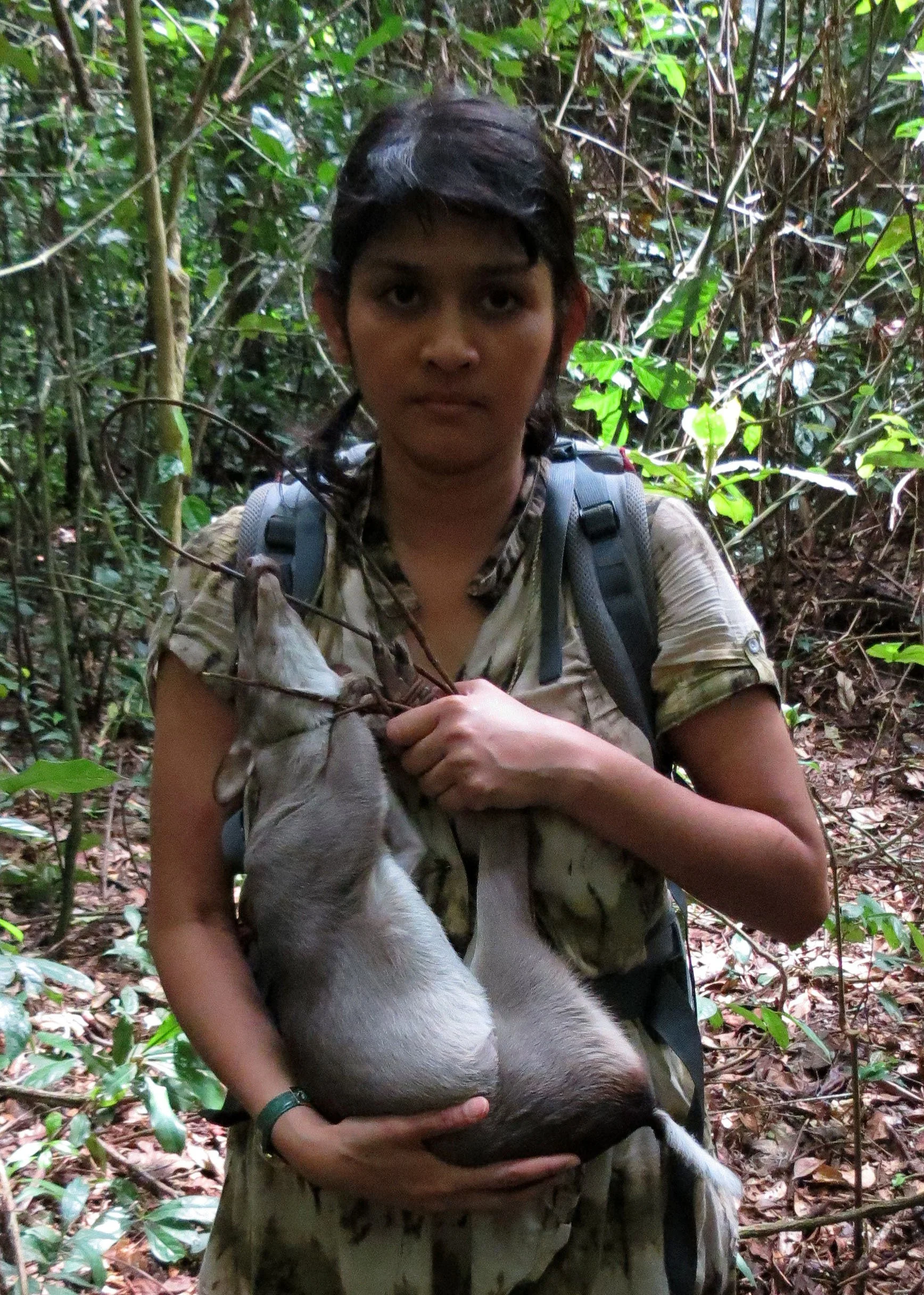 SANGHA RESERVE - BA'AKA HUNT - CENTRAL AFRICAN REPUBLIC (34).JPG