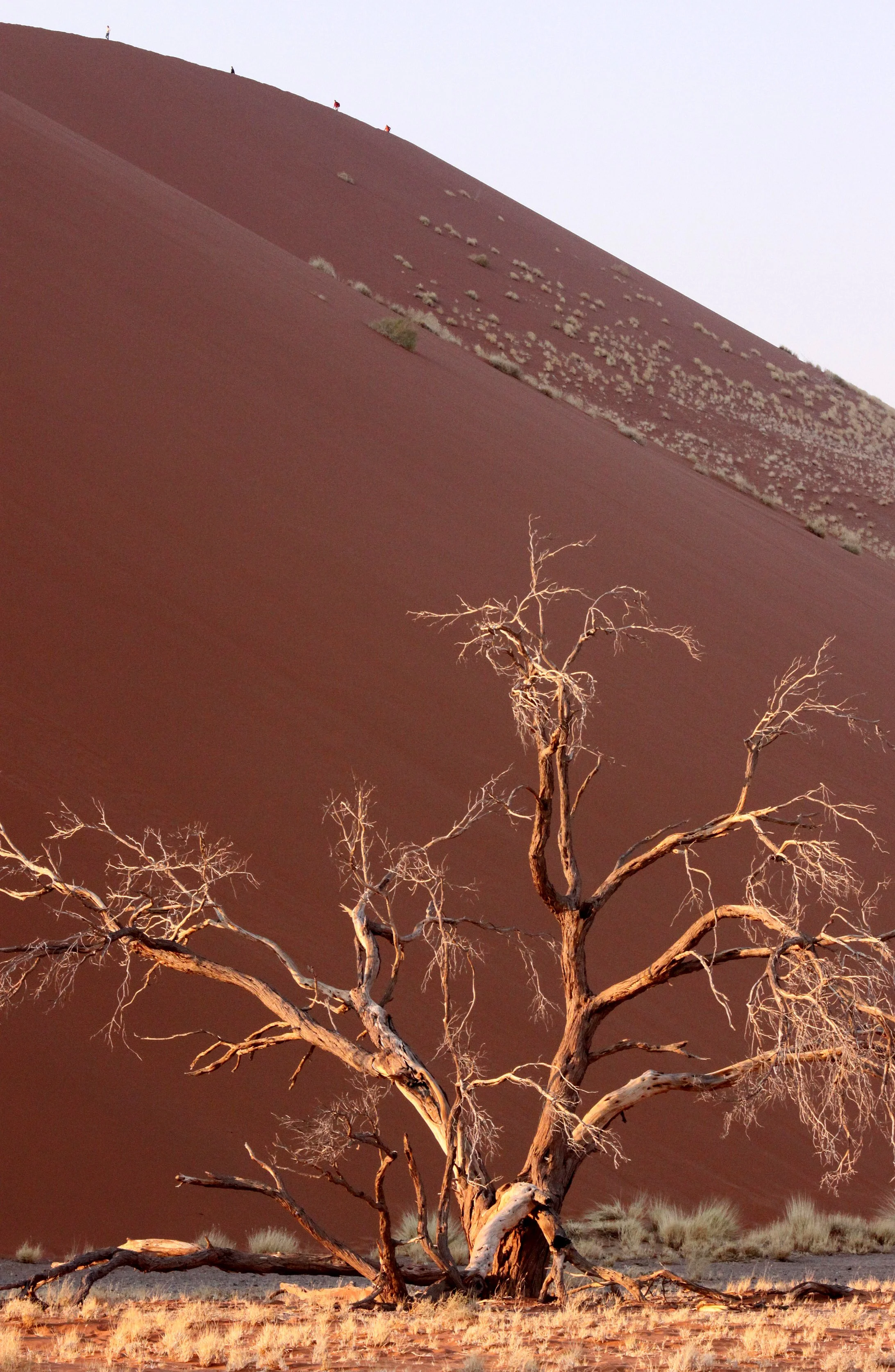 SOSSUSVLEI, NAMIB NAUKLUFT NATIONAL PARK, NAMIBIA - SESREIM VIEWS (5).JPG
