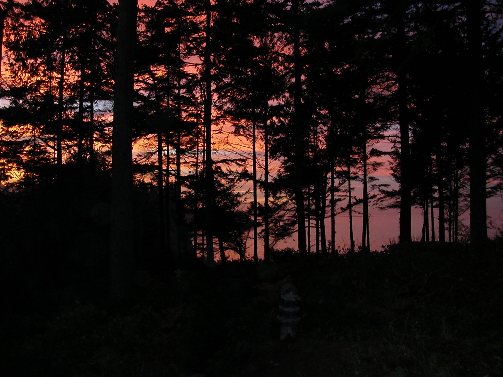 2003-11-28 THANKSGIVING IN LAKE FARM (65).JPG