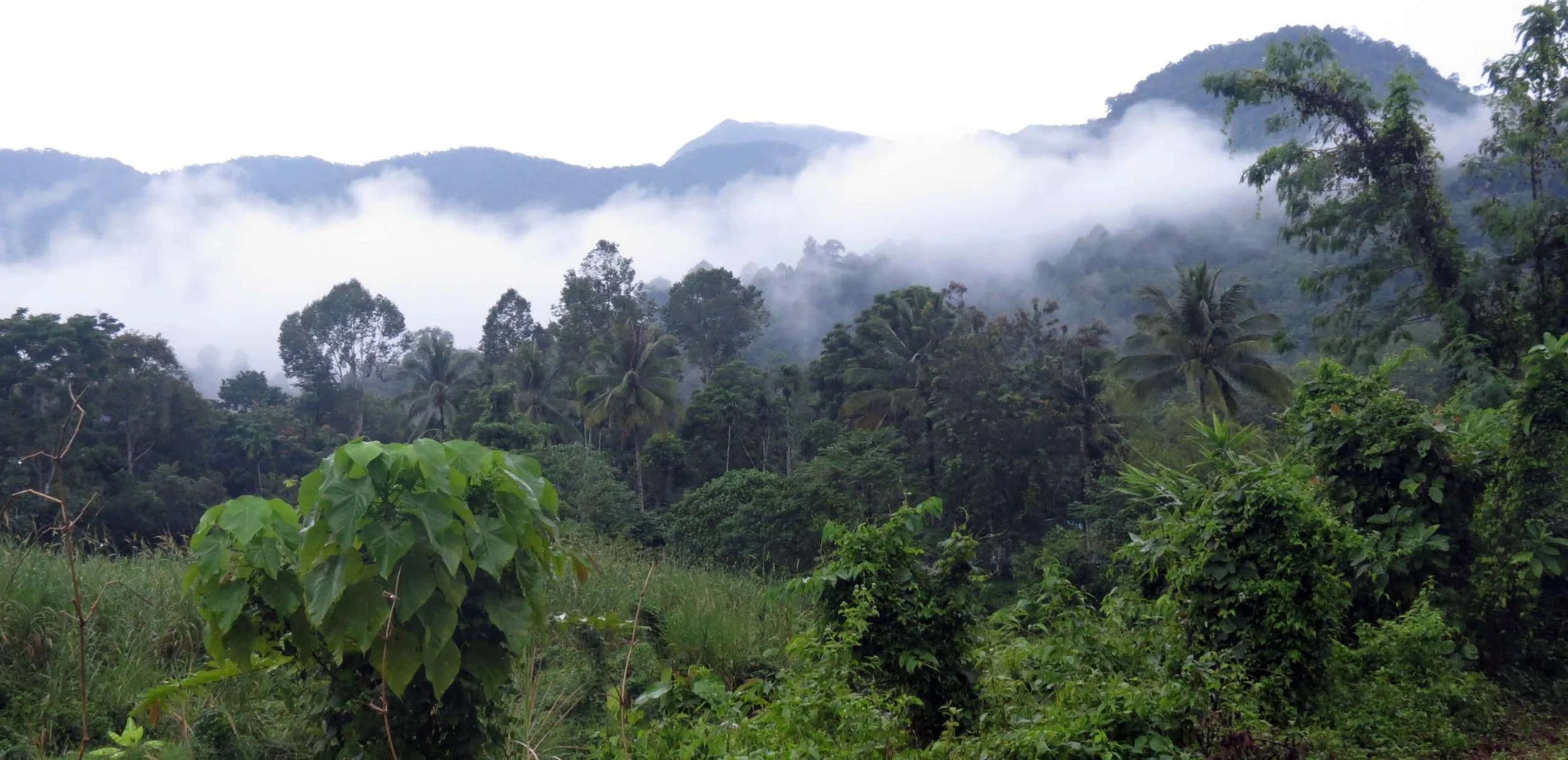 2013 in Nakhonsithammarat and some Krabi with Family (276).JPG