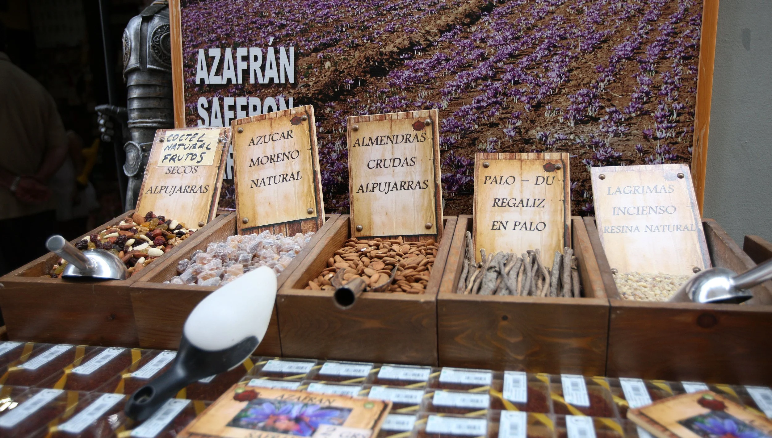 GRANADA SPAIN (141).JPG