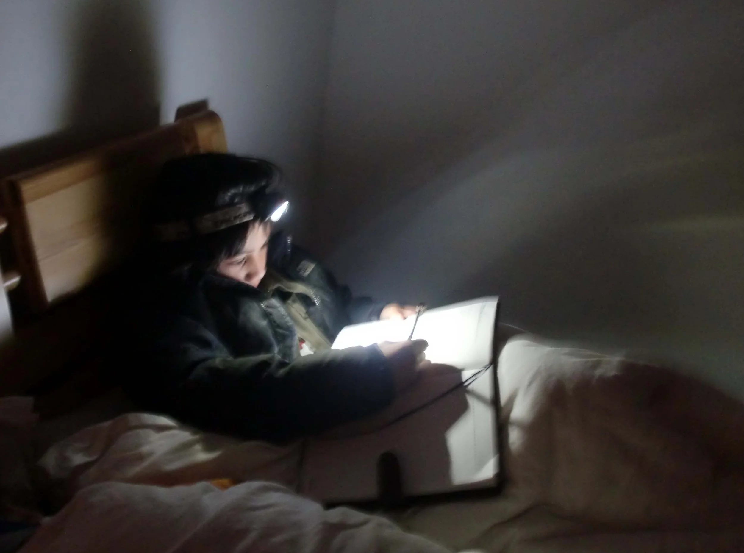 FOPING NATURE RESERVE - SHAANXI PROVINCE CHINA (86).JPG