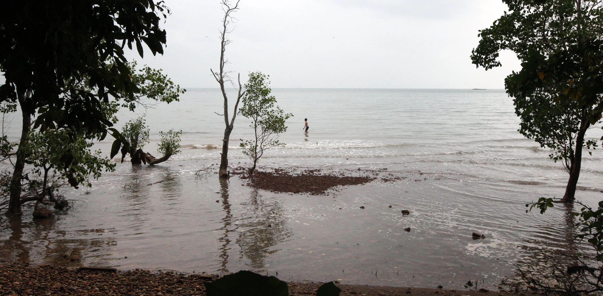 LANTA ISLAND - OUR PROPERTY - WINTER 2011 (14).JPG