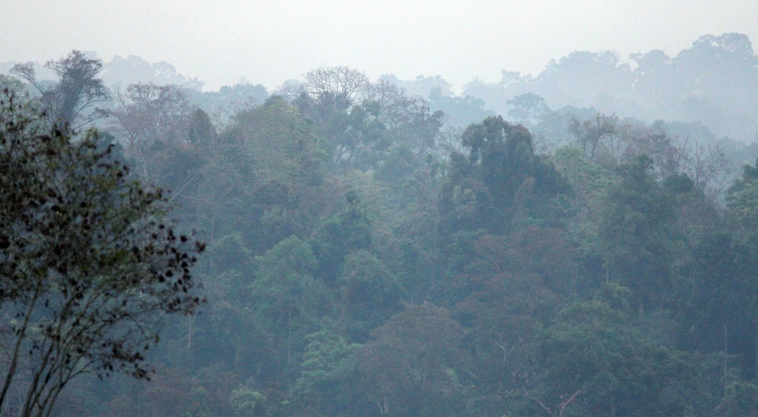 2015 Khao Pang Ma Nonhunting Area (39).JPG