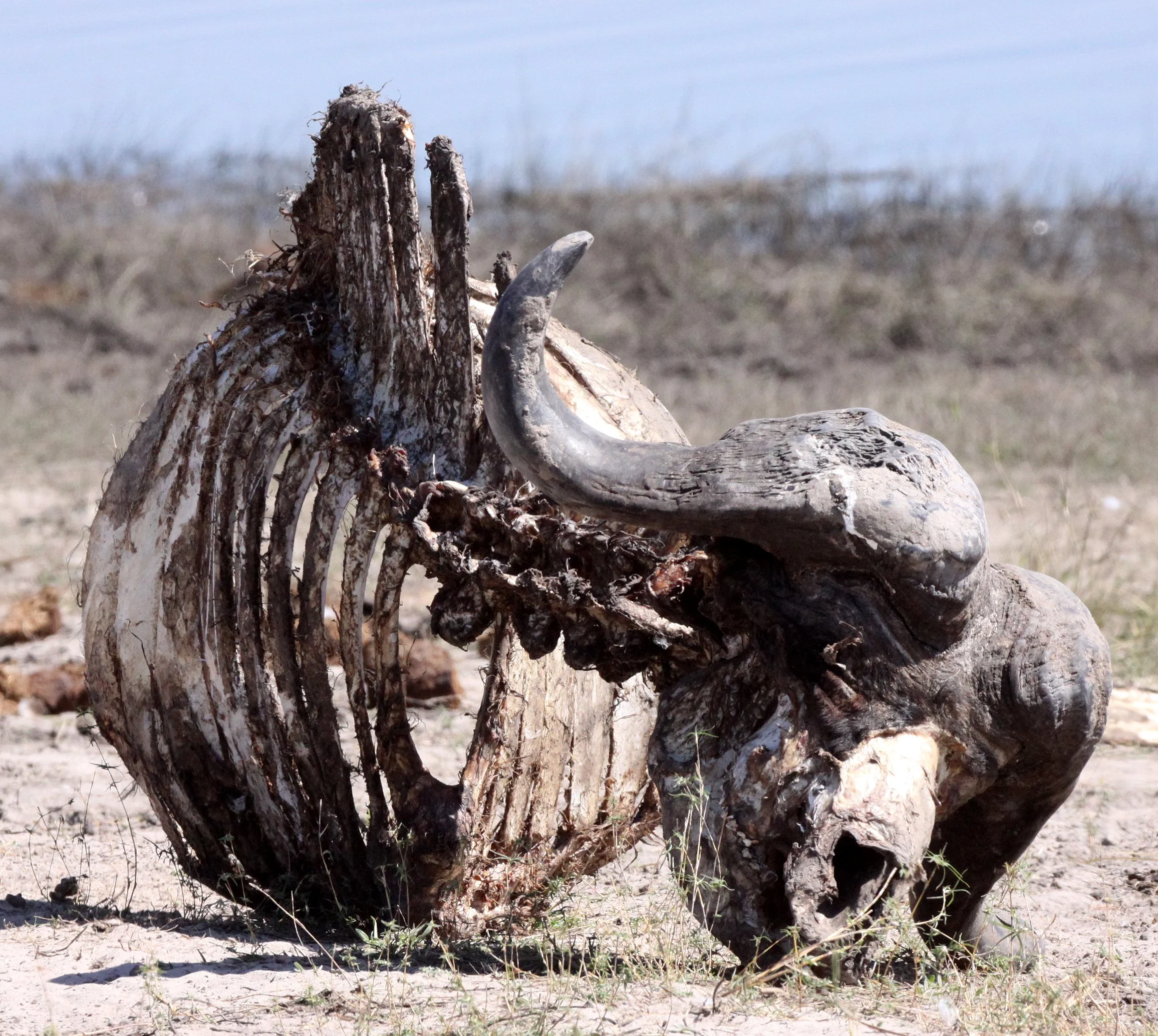 Chobe National Park