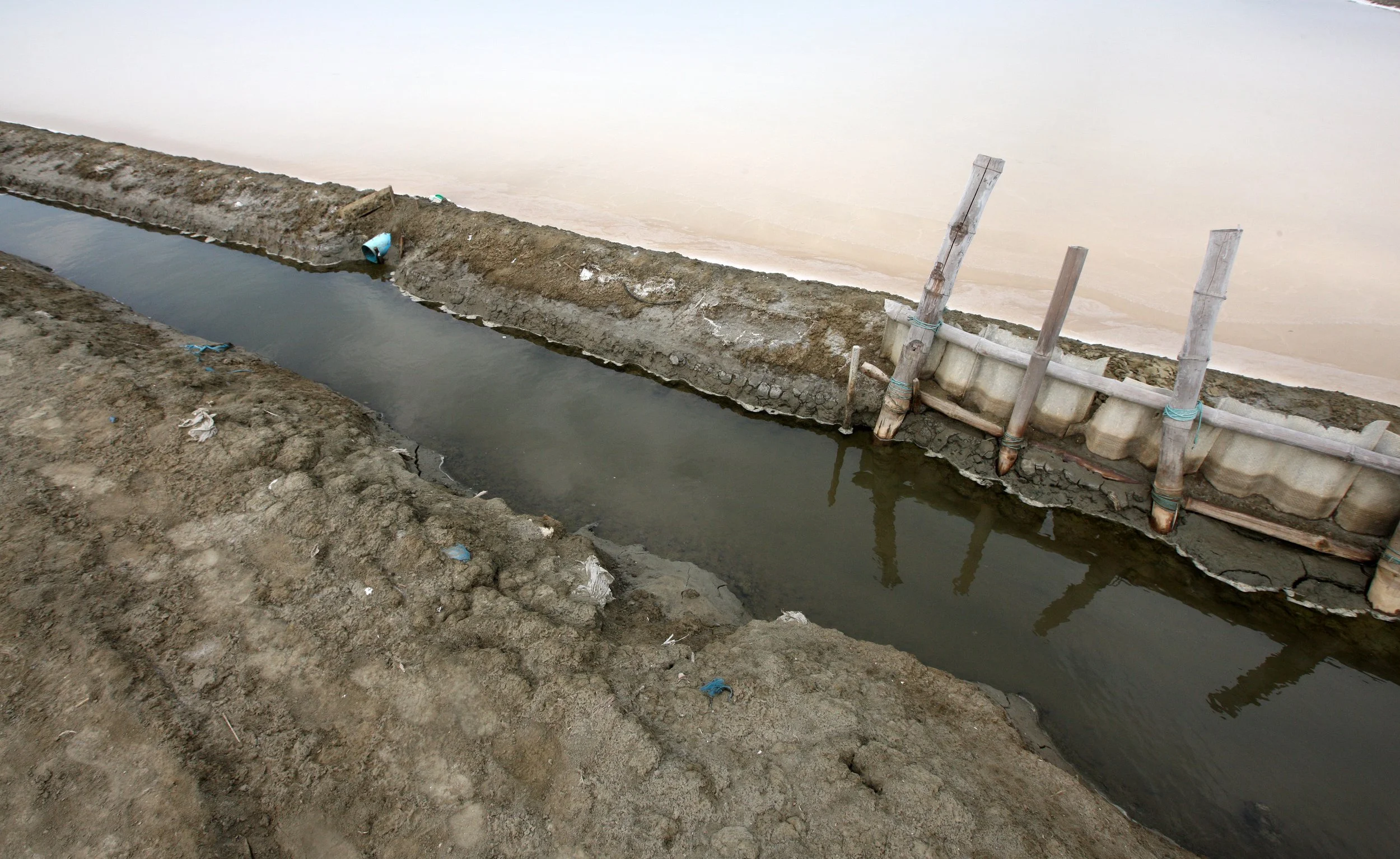 2011 Pak Thale Salt Ponds (10).JPG