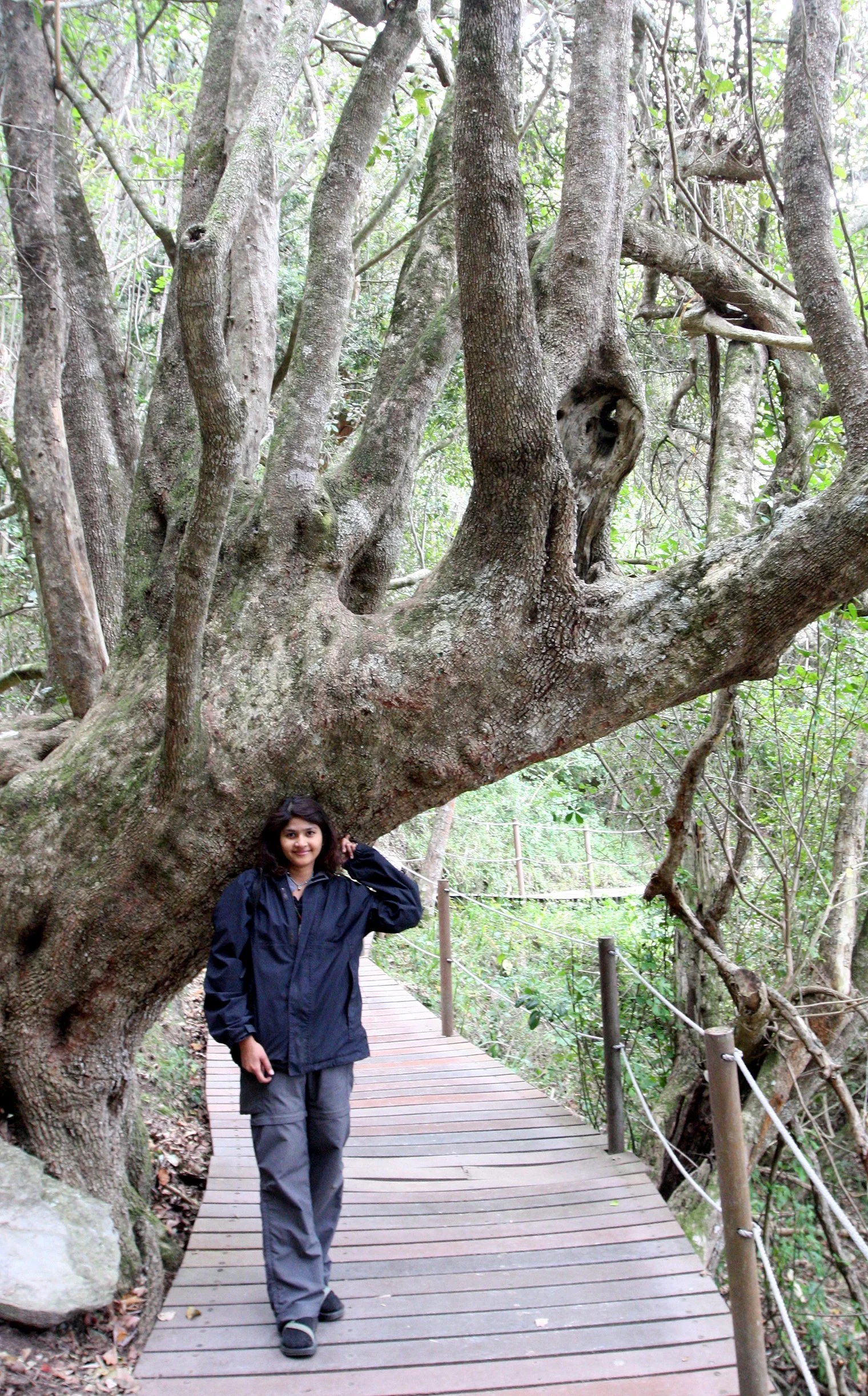 TSITSIKAMMA NATIONAL PARK SOUTH AFRICA - FOREST (3).JPG
