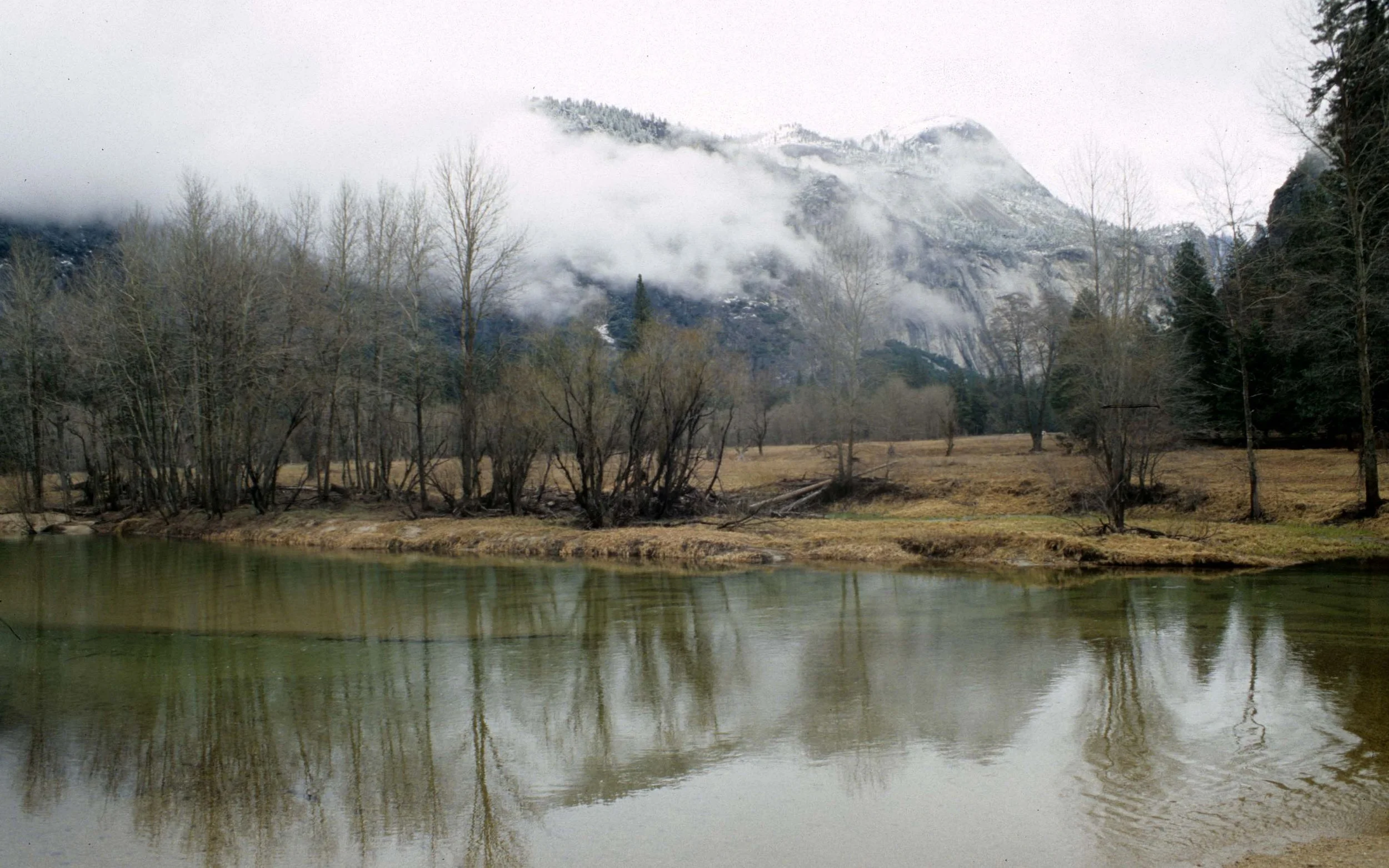 CALIFORNIA - YOSEMITE NP  (15).jpg