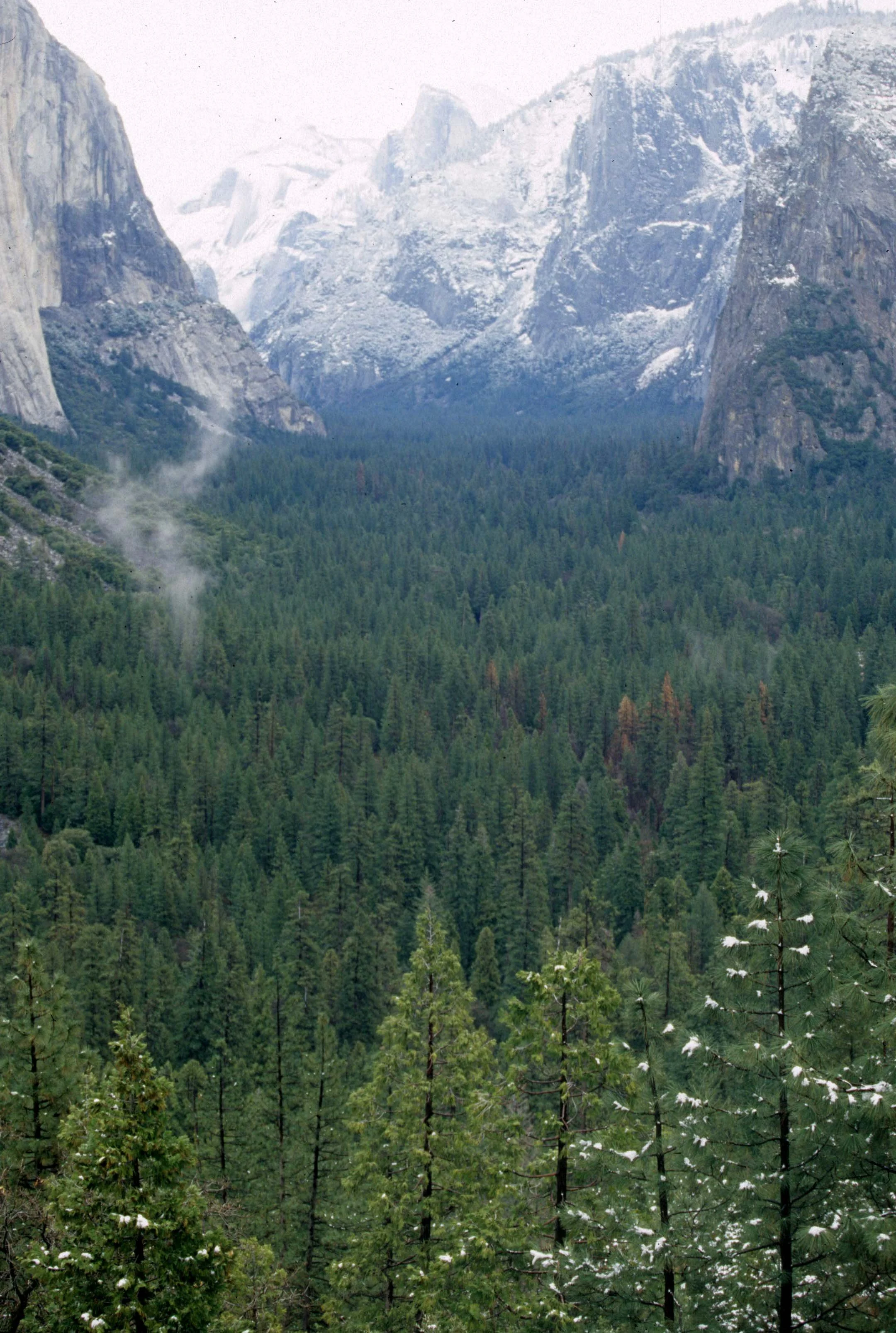 CALIFORNIA - YOSEMITE NP  (18).jpg