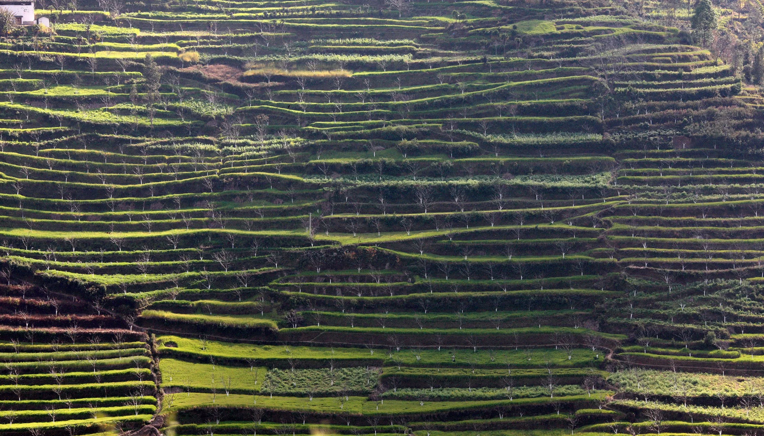 YUNNAN - NANJIAN TOWN AND SURROUNDING REGION (69).JPG
