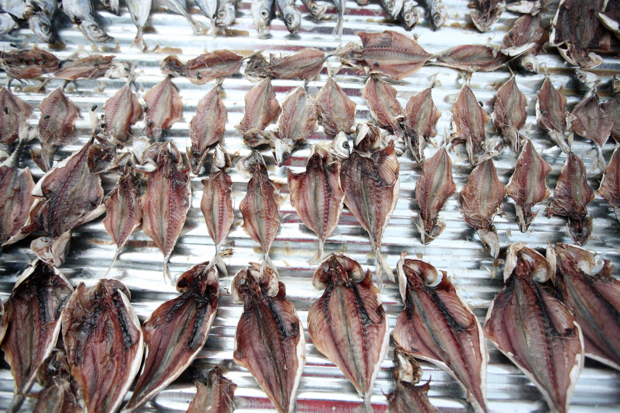 2015 Koh Lanta Songkran with friends from ISB (282).JPG