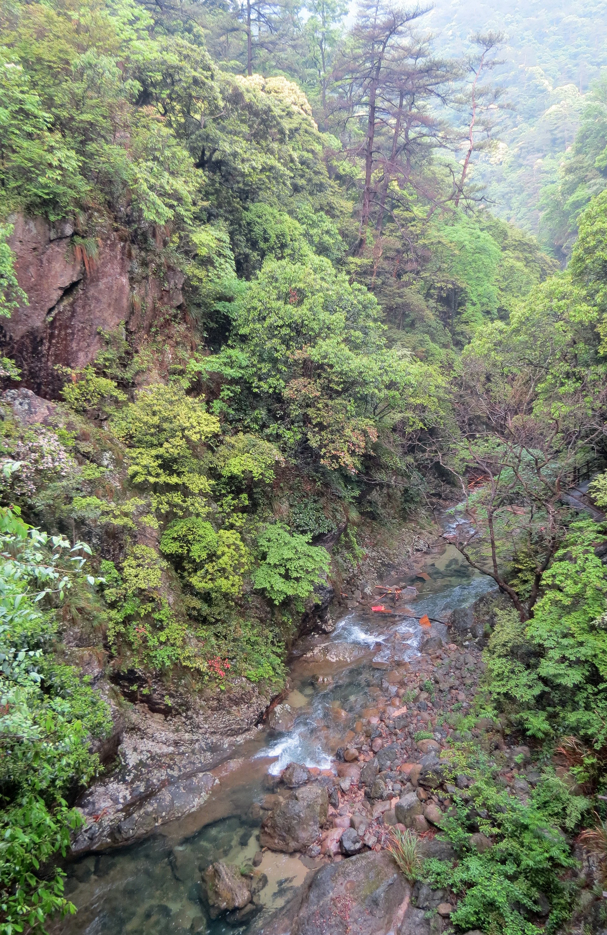 GUNIUJIANG NATURE RESERVE - ANHUI PROVINCE CHINA (42).JPG