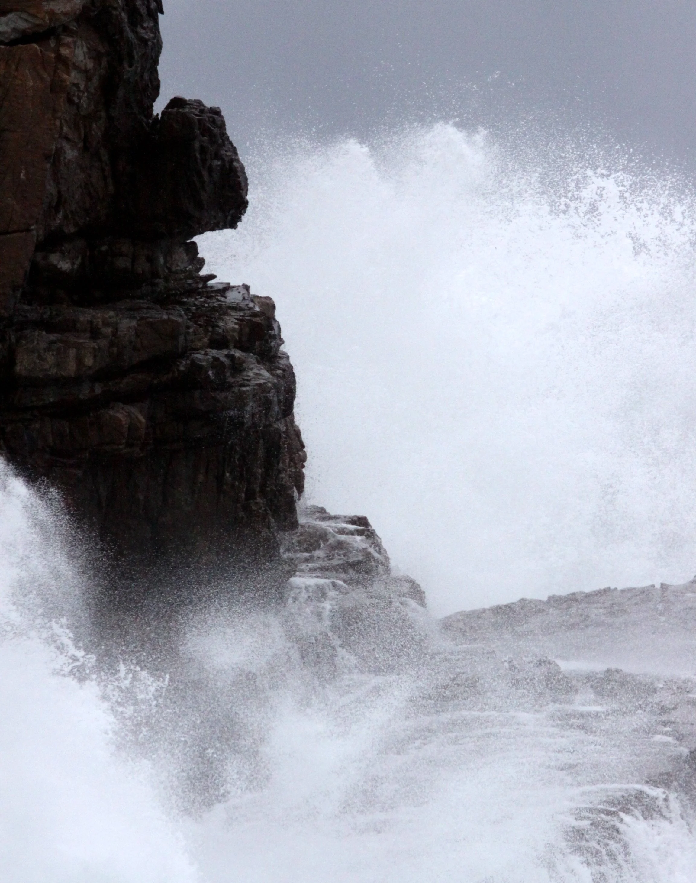 TABLE MOUNTAIN NATIONAL PARK SOUTH AFRICA - CAPE OF GOOD HOPE (4).JPG