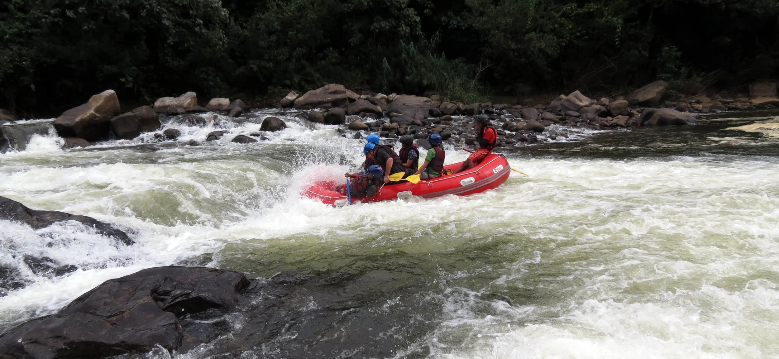 KITULGALA FOREST PRESERVE SRI LANKA (69).JPG