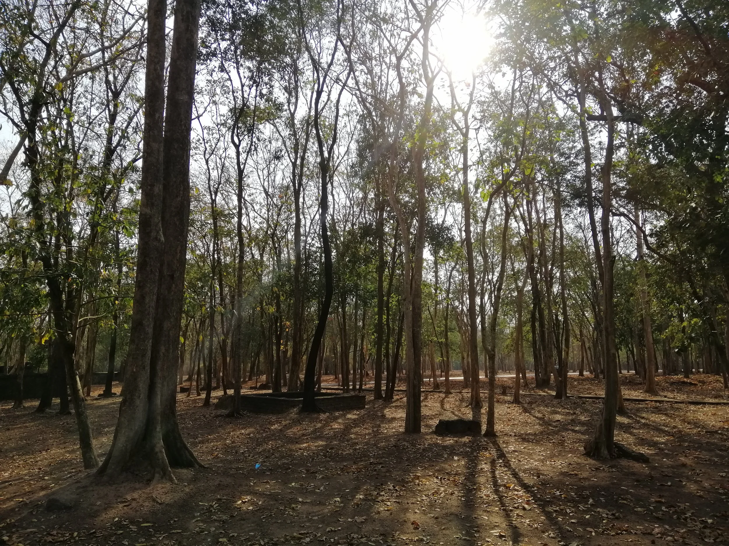 2020 Kamphaeng Phet World Heritage Trip with Cokie (41).jpg