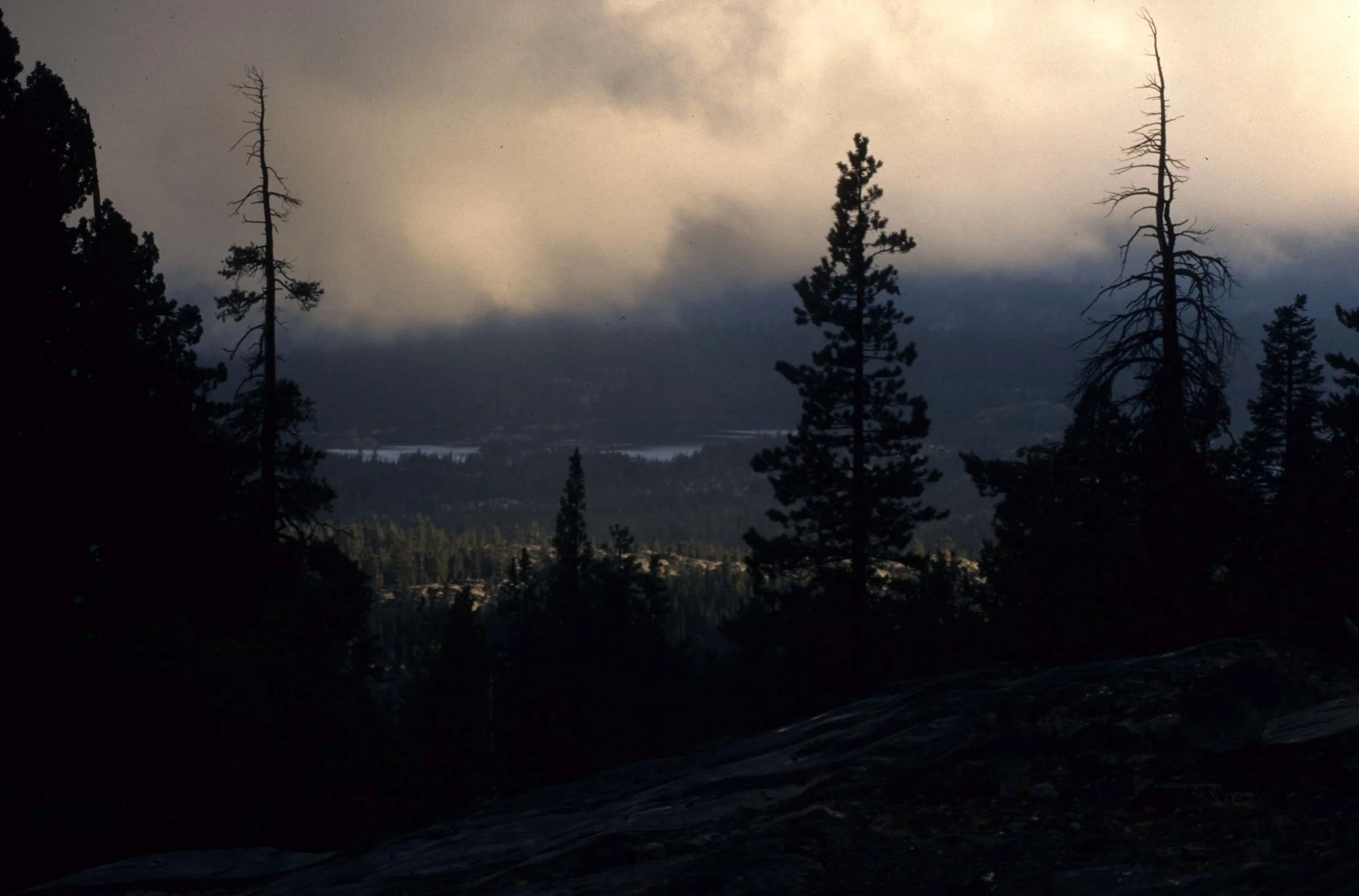 CALIFORNIA - SIERRA NEVADA MOUNTAINS (16).jpg