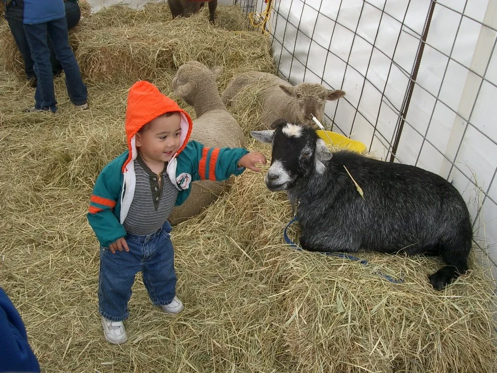 2003-10-12 CRAB FEST CRITTERS (3).JPG