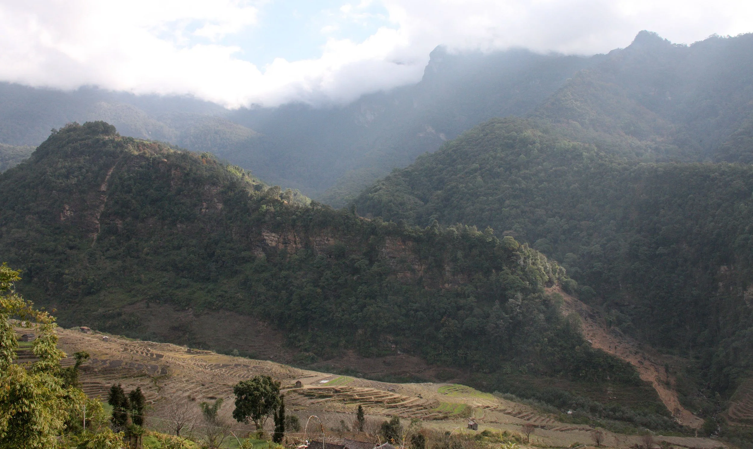 YUNNAN - WULIANGSHAN NATURE RESERVE AND SURROUNDING REGION (40).JPG