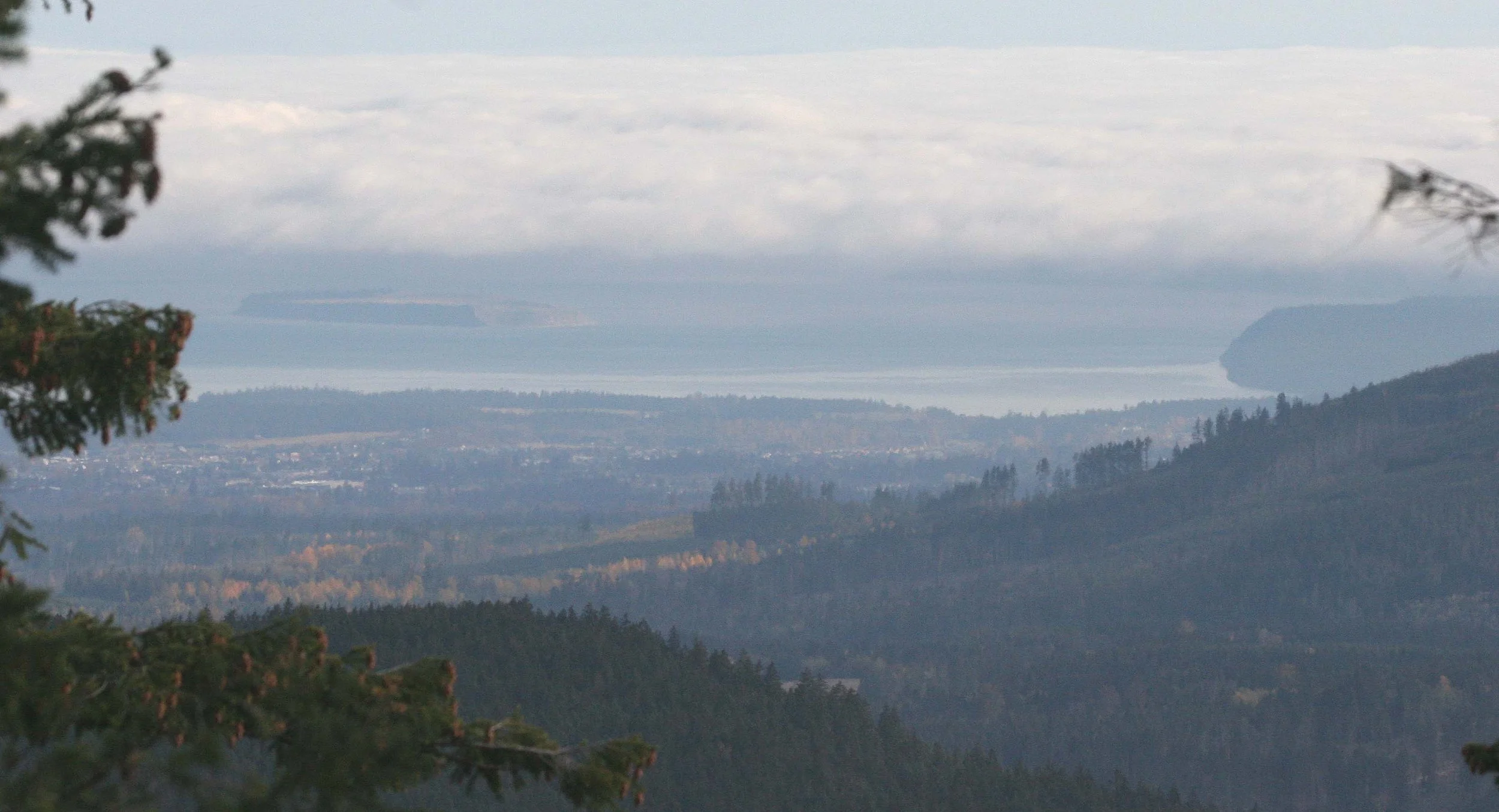 DUNGENESS SPIT OVERLOOK A.jpg
