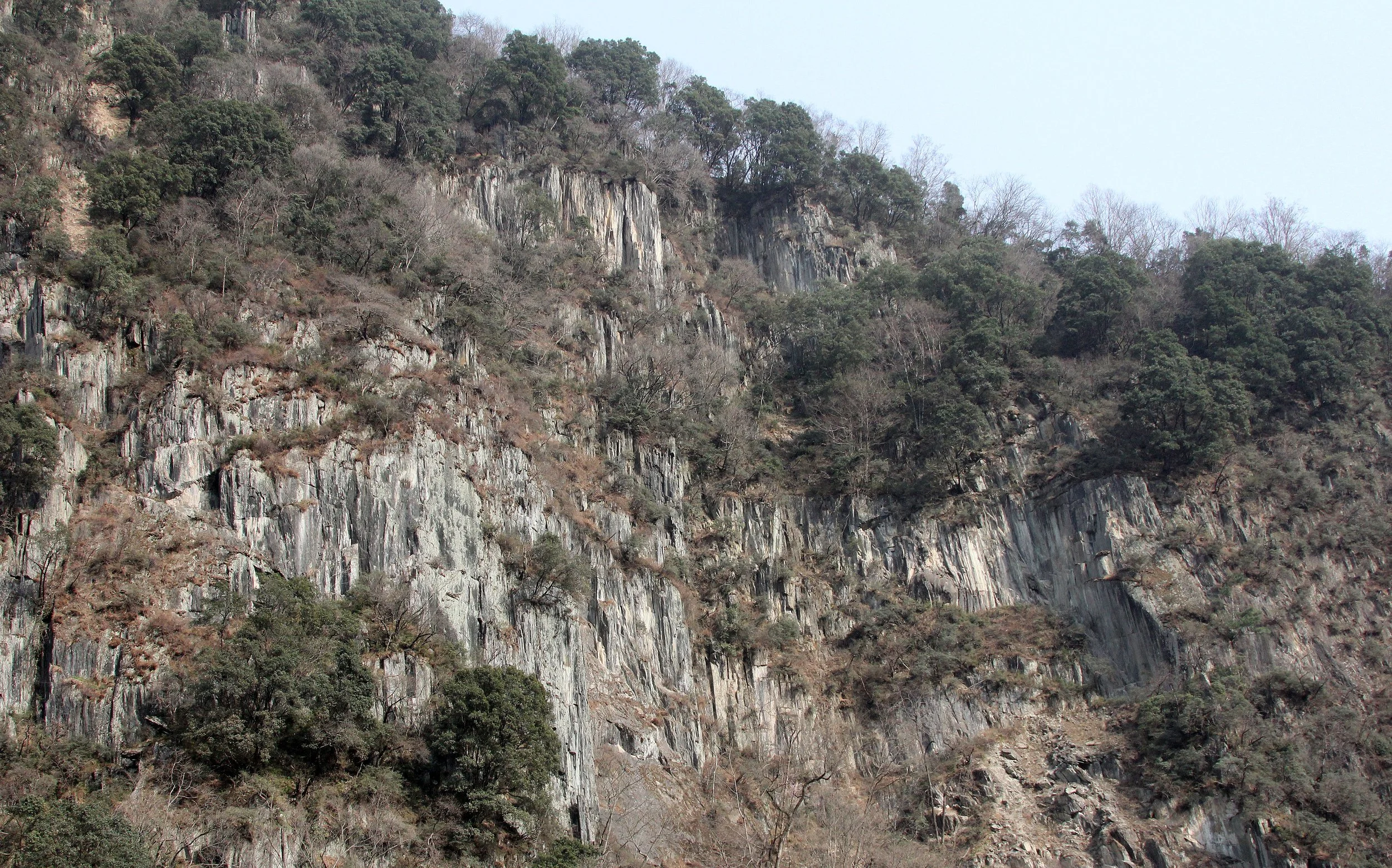 TANGJIAHE NATURE RESERVE, SICHUAN CHINA (33).JPG
