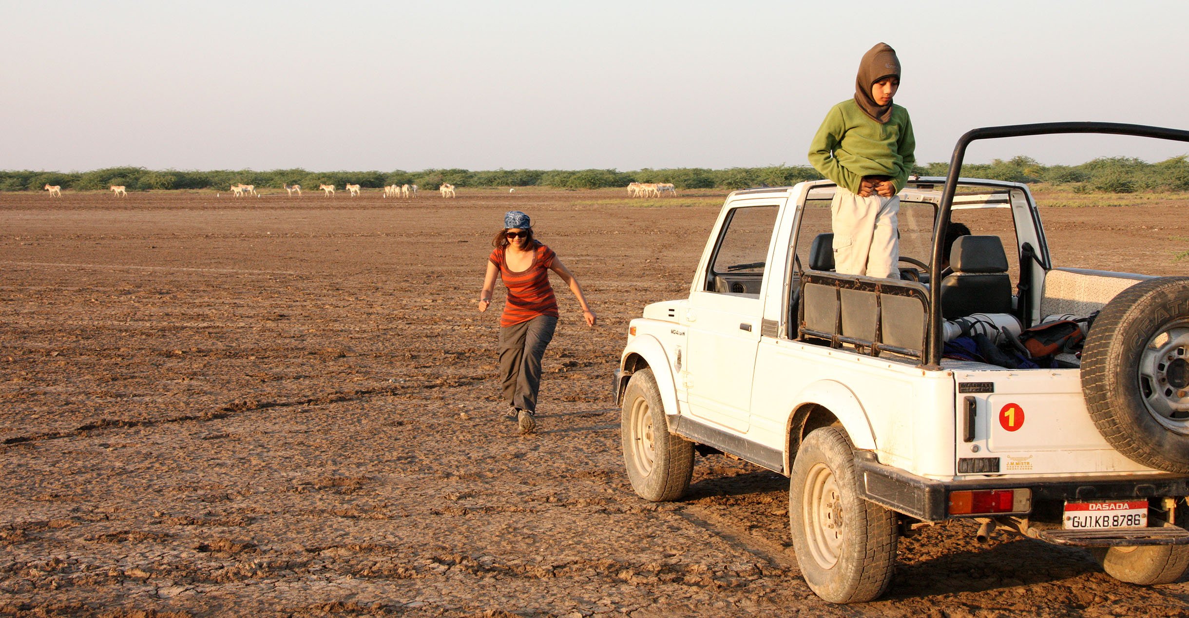 Indian Wild Ass in the background!