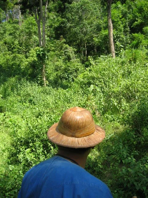 2008 Lampang City & Elephant Center (168).jpg