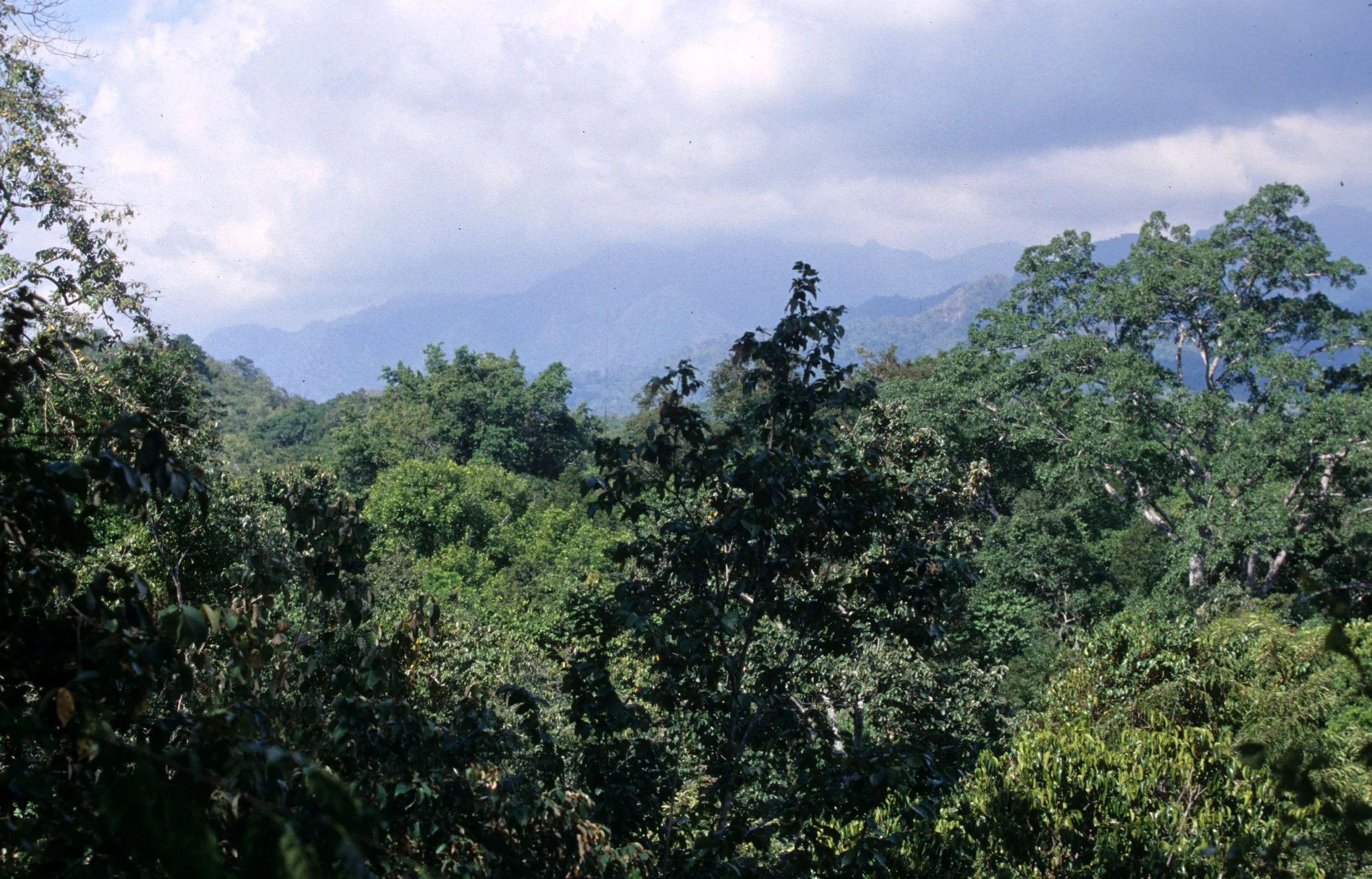 BALI - BALI BARAT NP - VIEW A.jpg