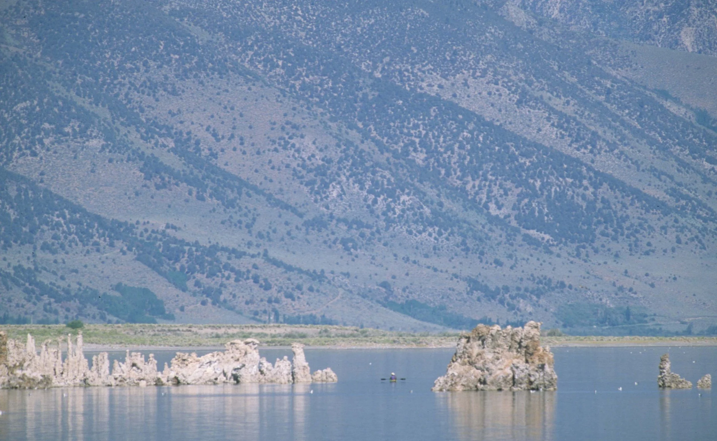 CALIFORNIA - MONO LAKE - TUFA MOUNTS IN LAK.jpg