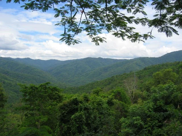 NAM NAO NP.jpg