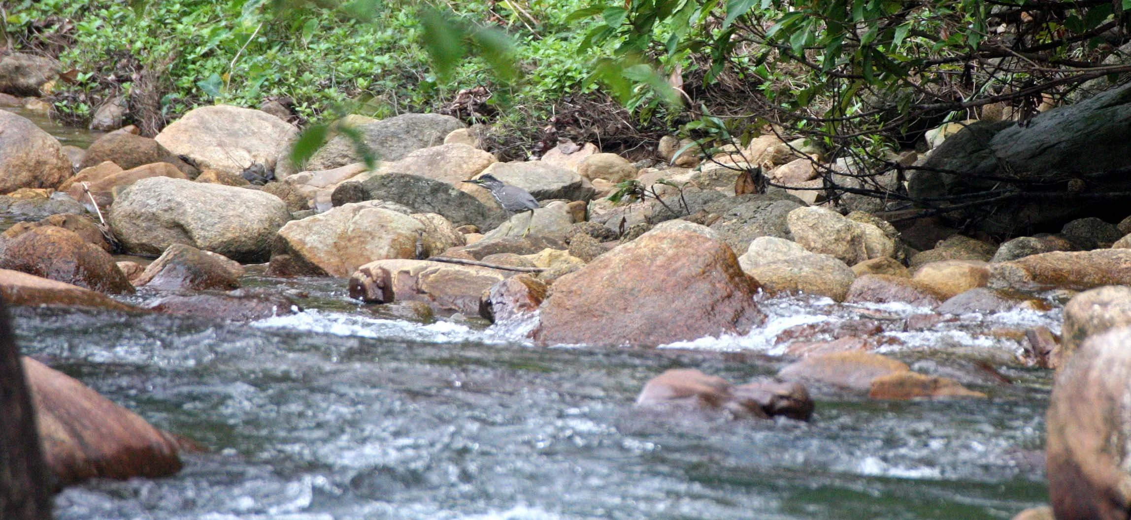 2009 Promluk Property Views (30).JPG