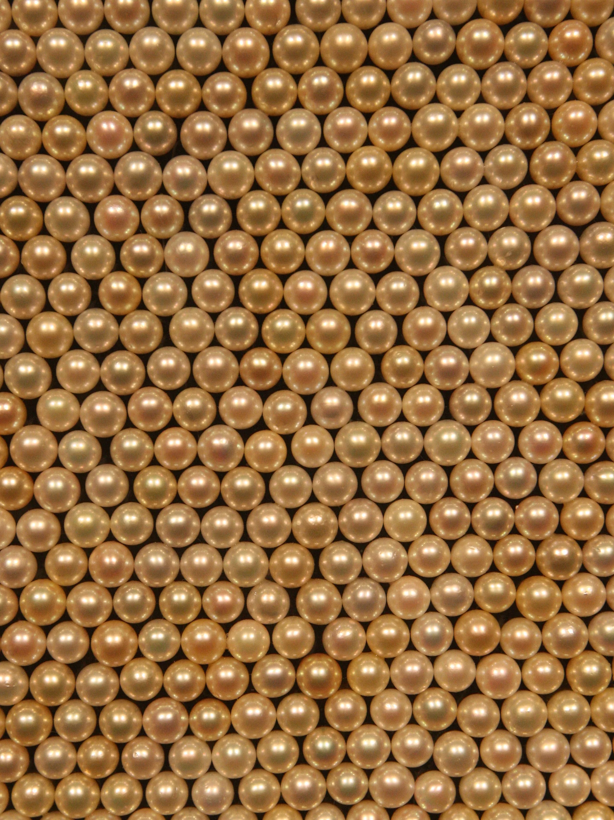 MIKIMOTO PEARL ISLAND AND MUSEUM - TOBA JAPAN (20).JPG