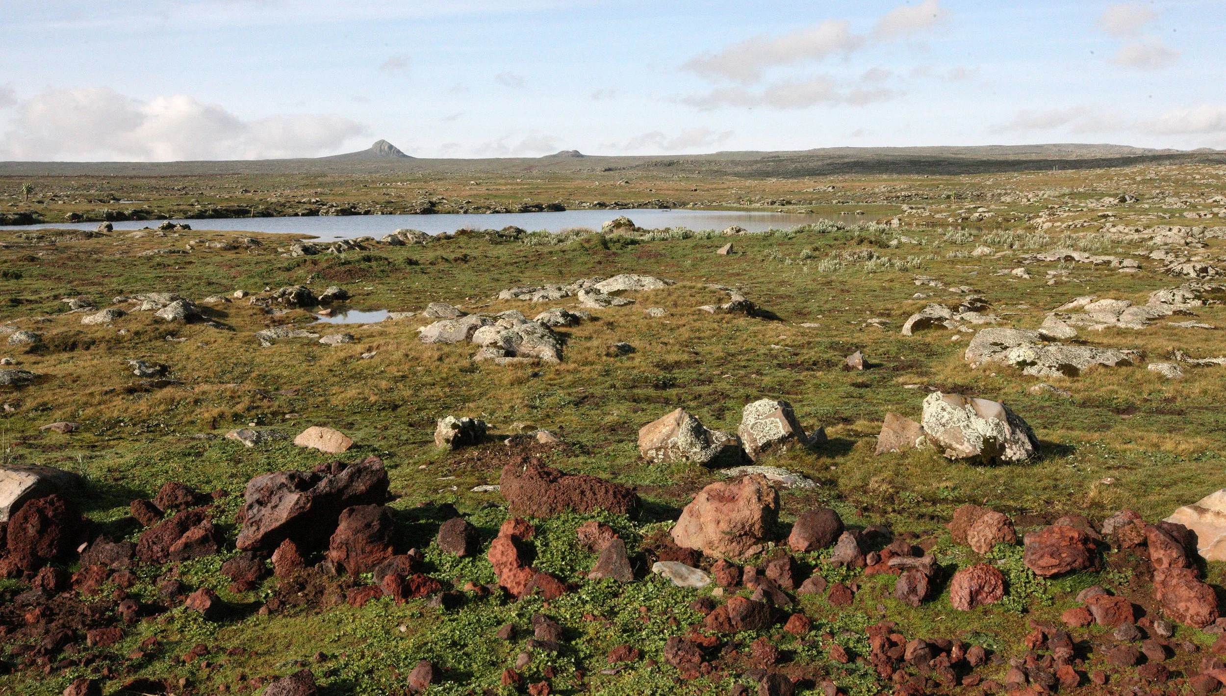 BALE MOUNTAINS NATIONAL PARK ETHIOPIA - SANETTI PLATEAU (47).JPG