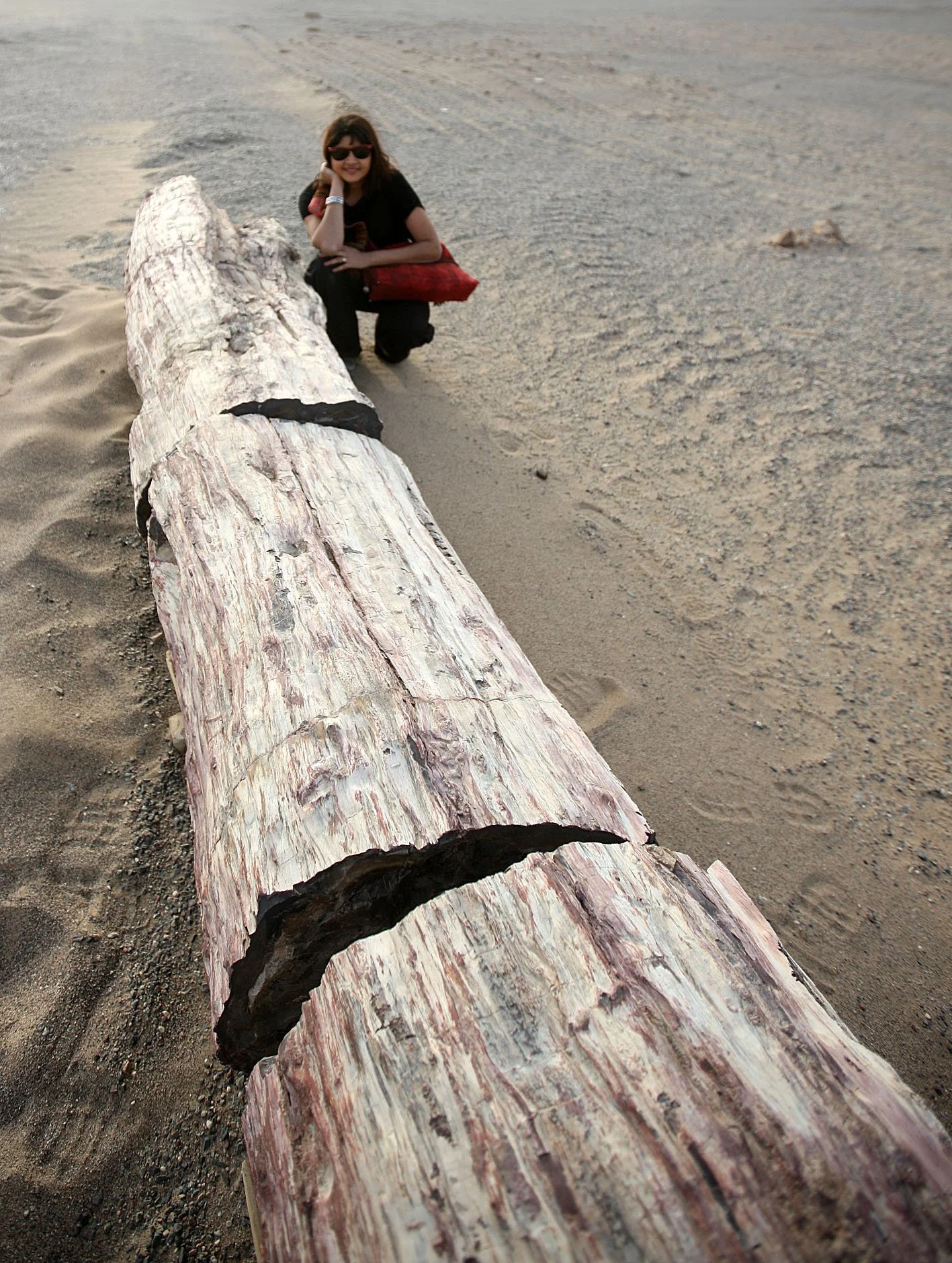 YADAN NATIONAL GEOLOGICAL PARK - GANSU CHINA (37).JPG