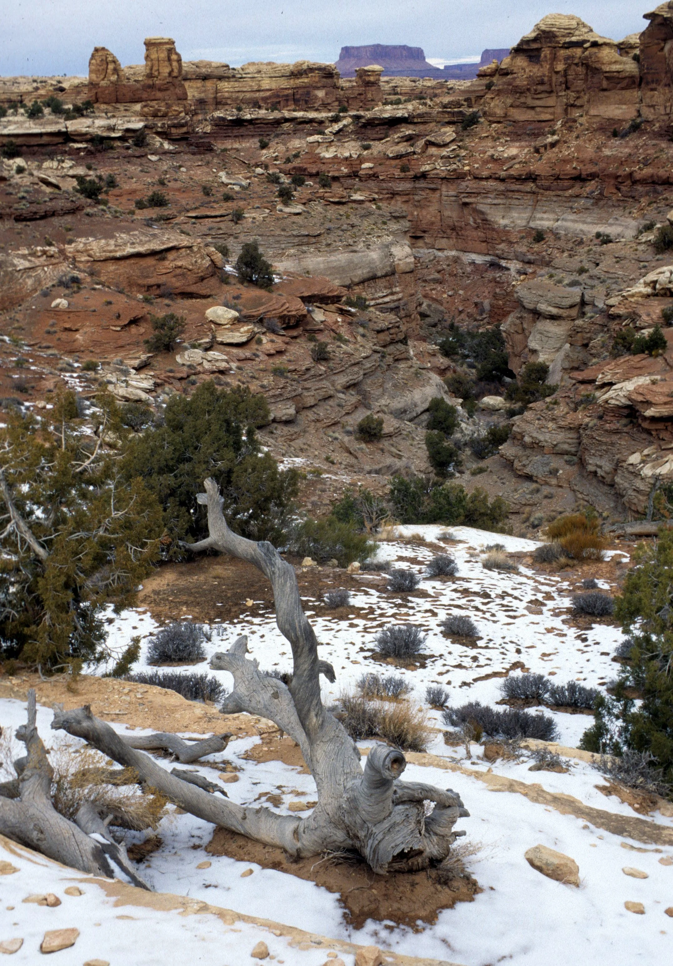 UTAH - CANYONLANDS NP (2).jpg