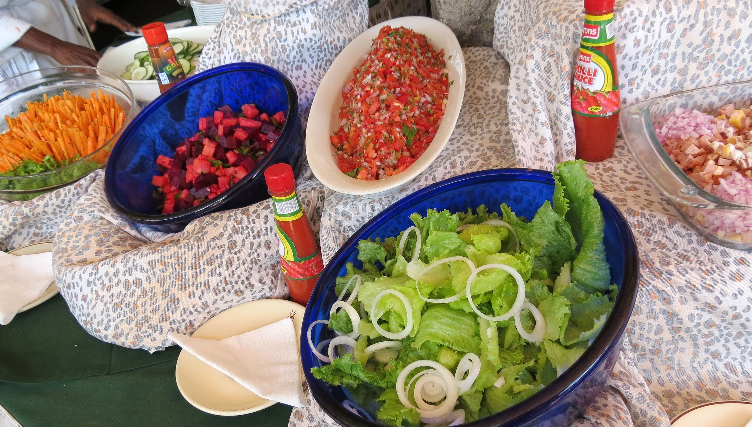 ABERDERES NATIONAL PARK KENYA - TREETOPS LODGE (4).JPG