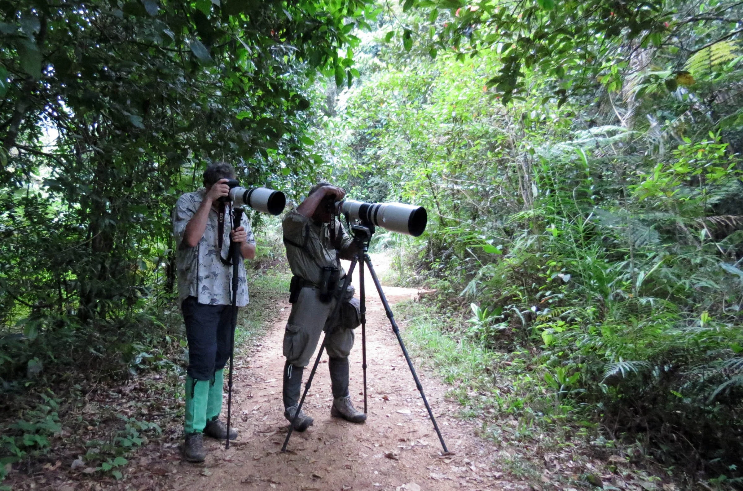 SINGHARAJA NATIONAL PARK SRI LANKA (23).JPG
