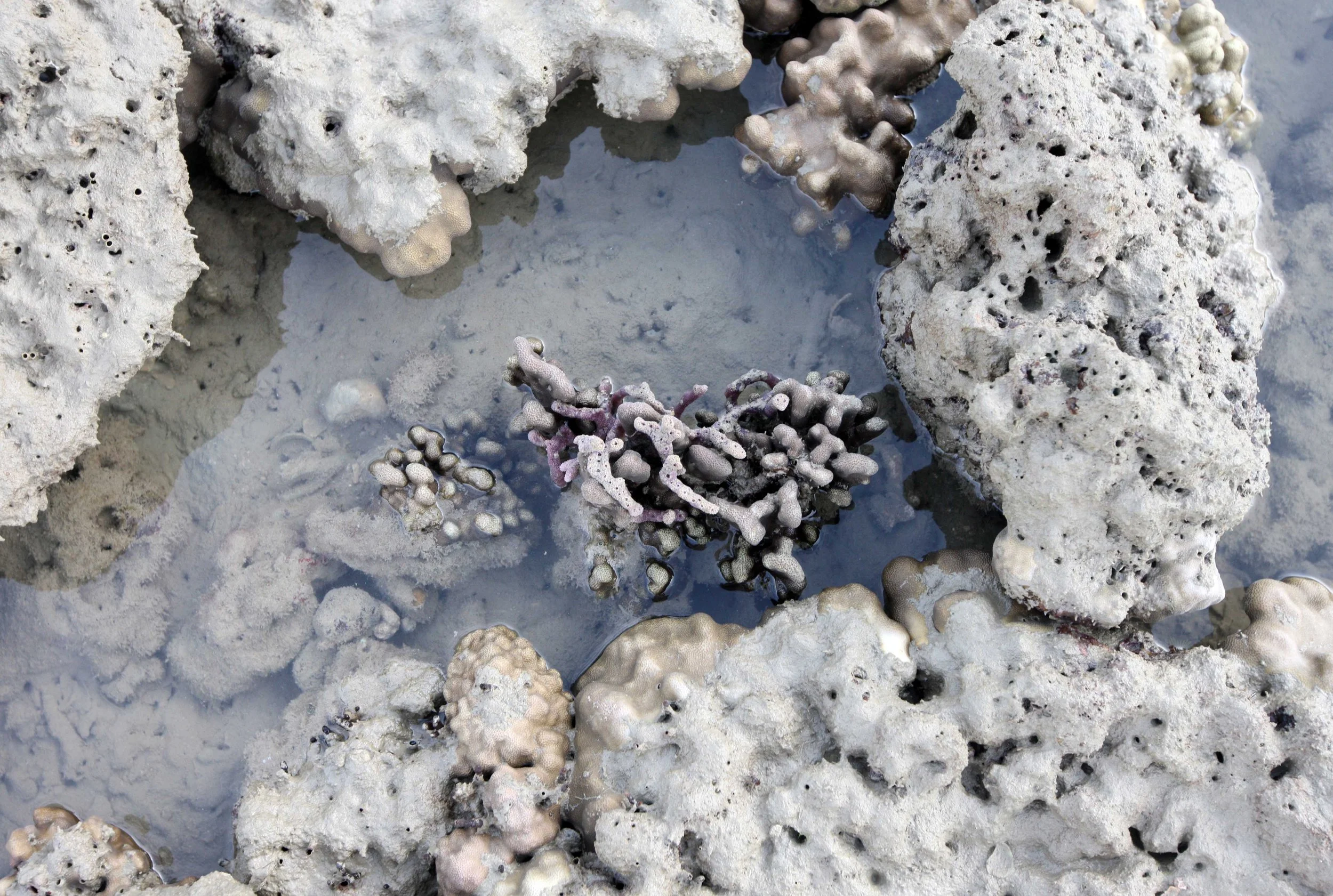 2015 Koh Lanta Songkran with friends from ISB (220).JPG