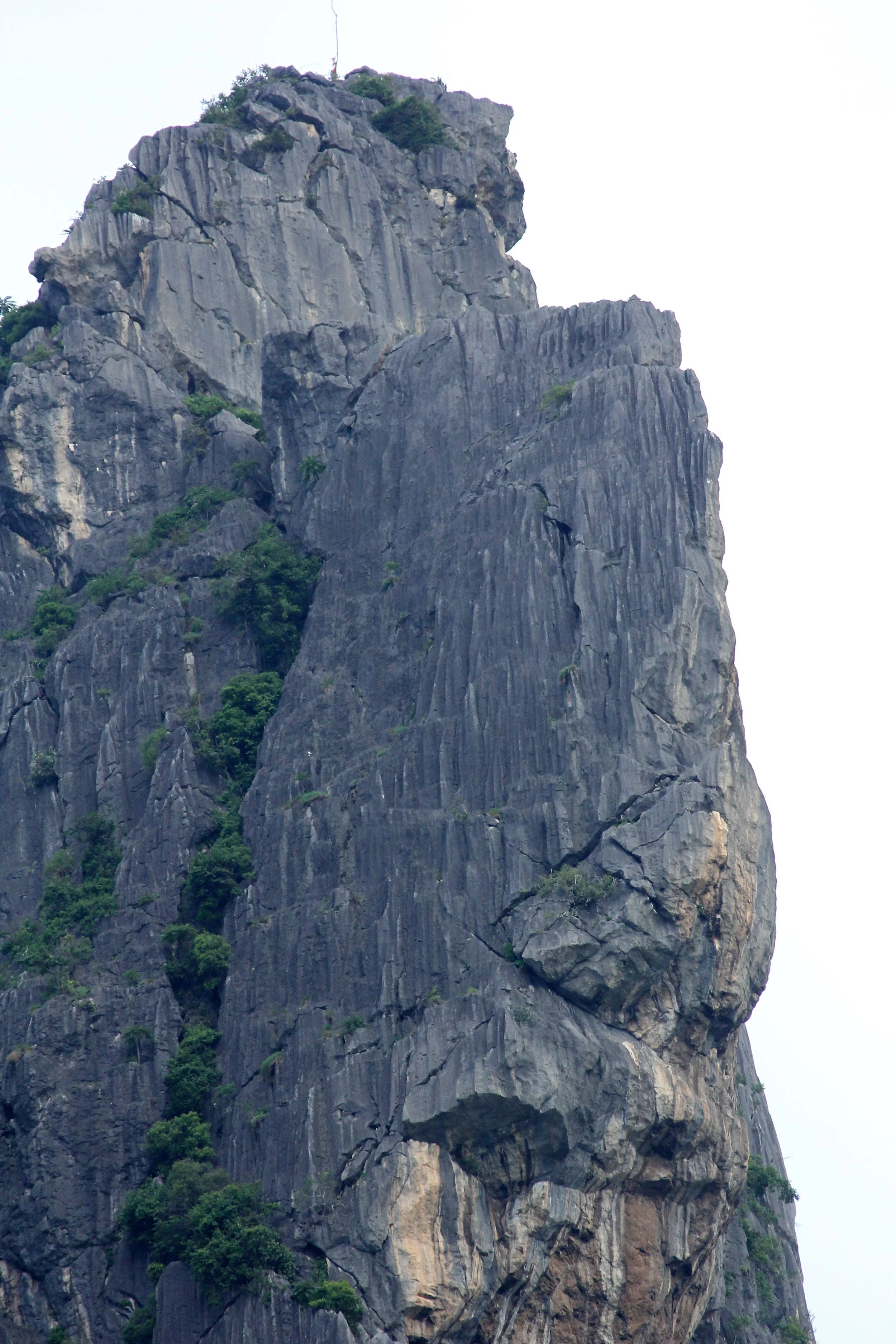 2017 Phu Khieo Wildlife Sanctuary  (25).JPG