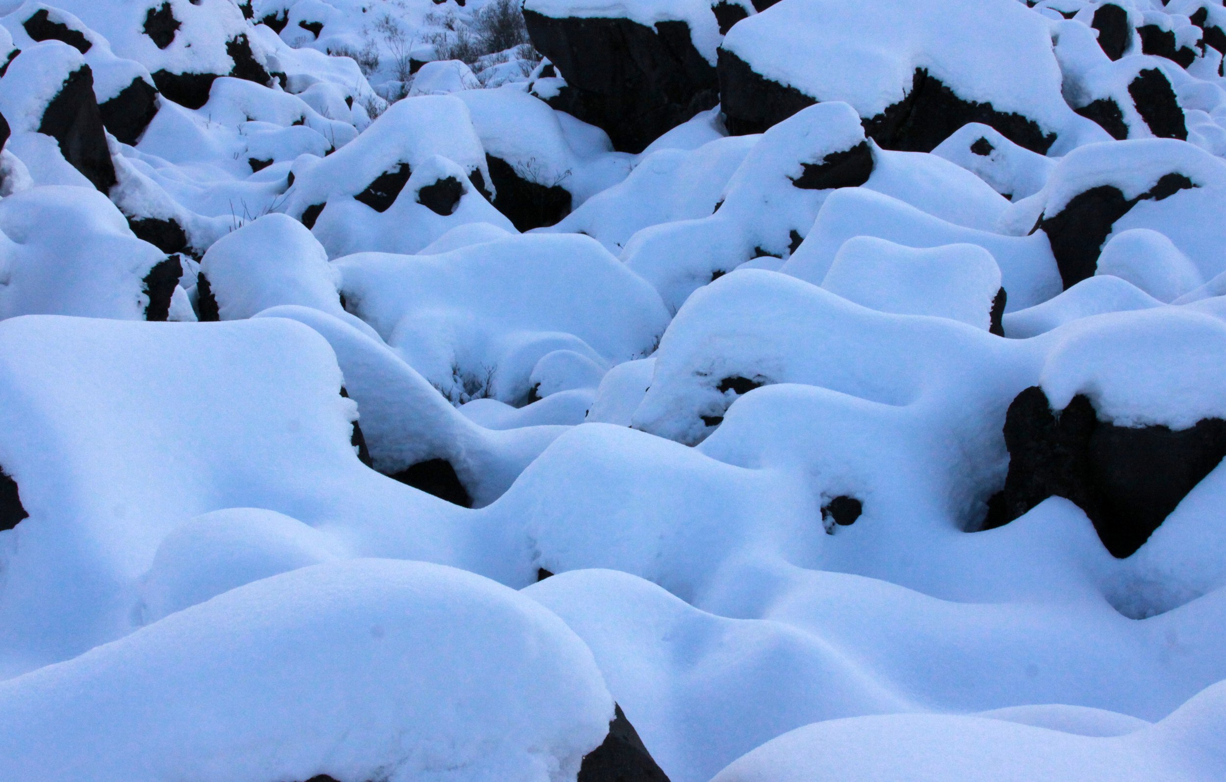MOUNT ASAMA - JOSHIN'ETSUKOGEN NATIONAL PARK JAPAN (78).JPG
