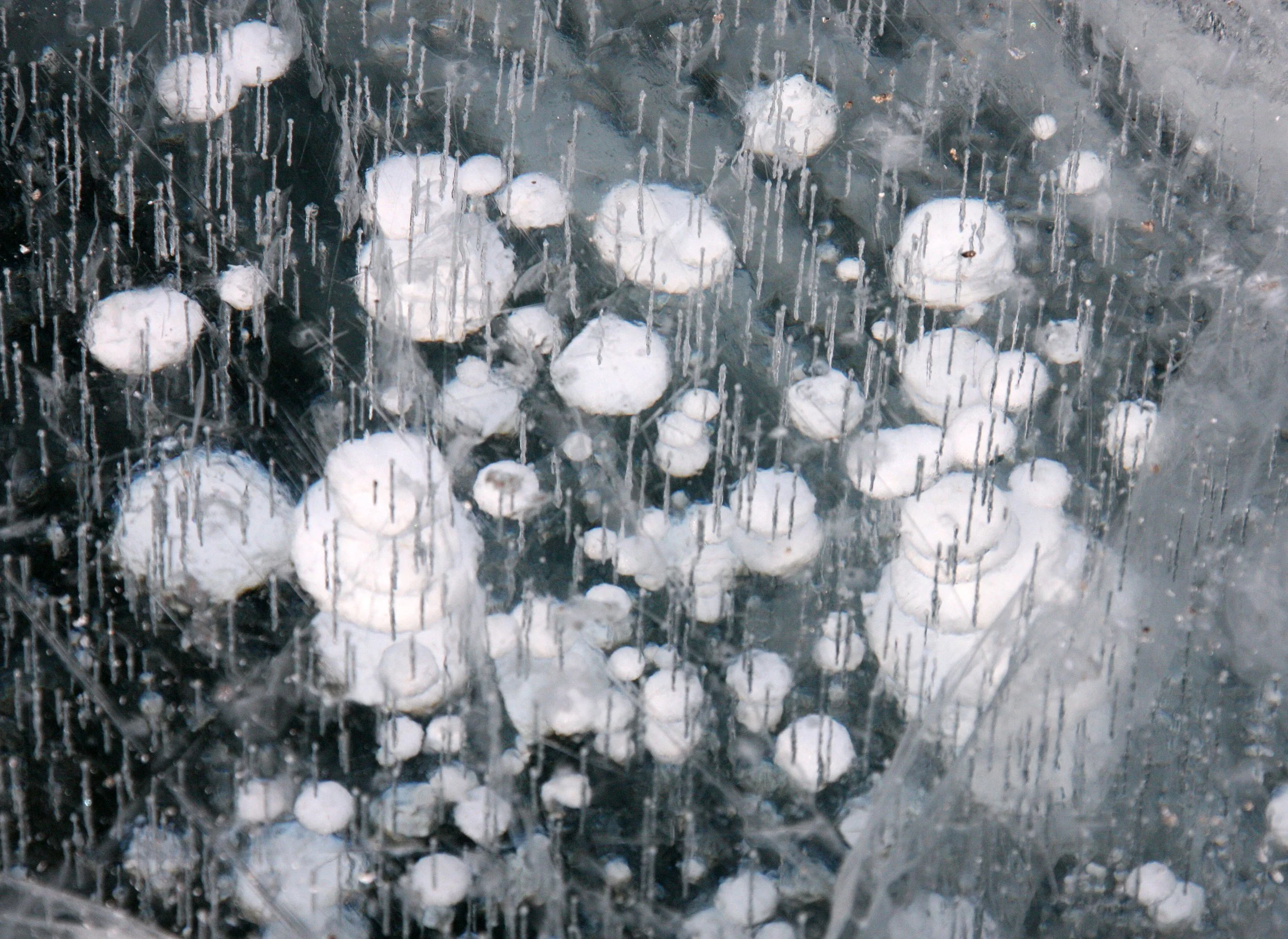 SONGHUA RIVER HARBIN CHINA - ACTIVITY ZONE! (26).JPG