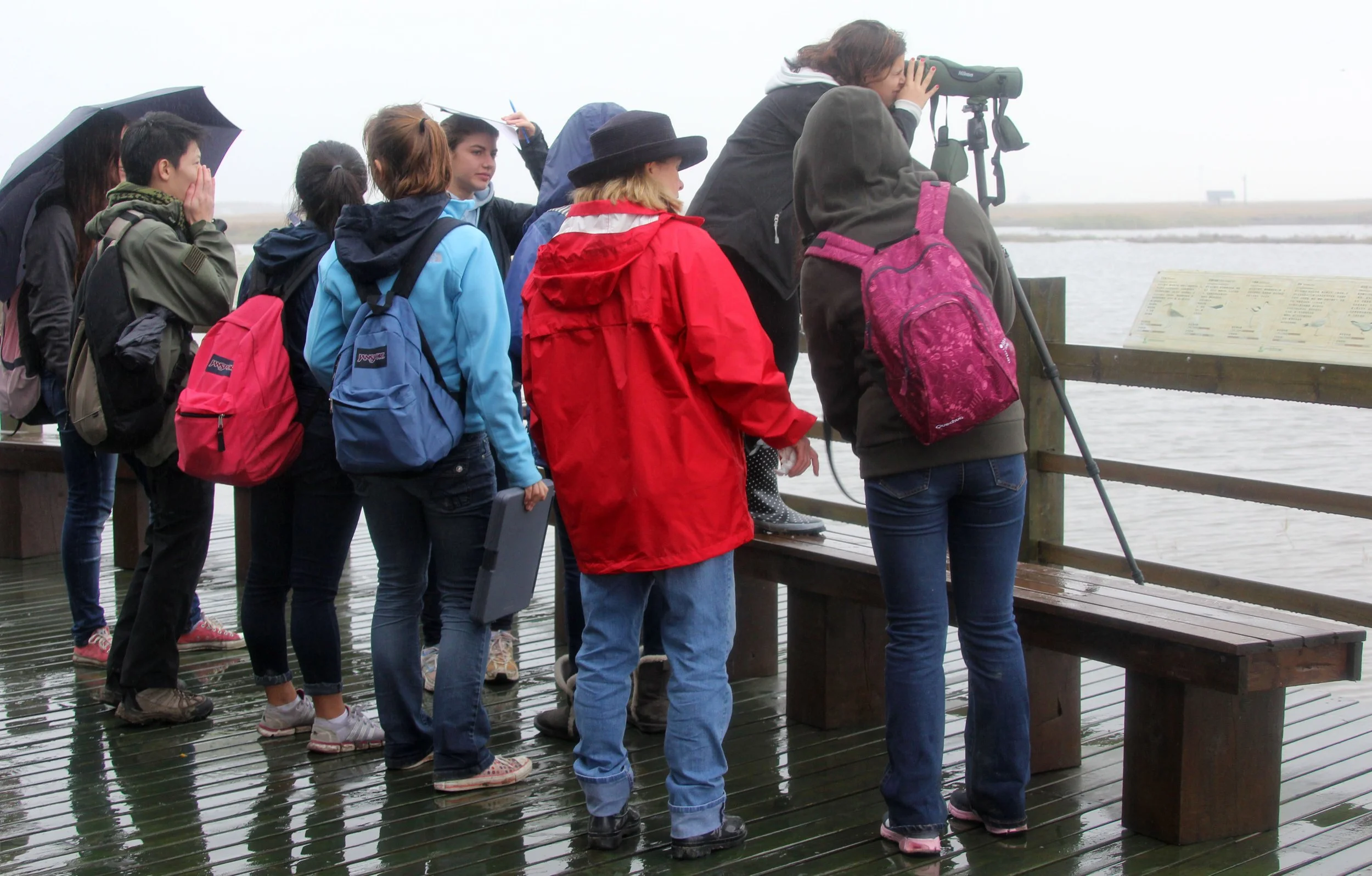 CHONGMING ISLAND DONGTAN WETLAND RESERVE CHINA - FIELD TRIP WITH IB AND APES 2012 11-16 (98).JPG