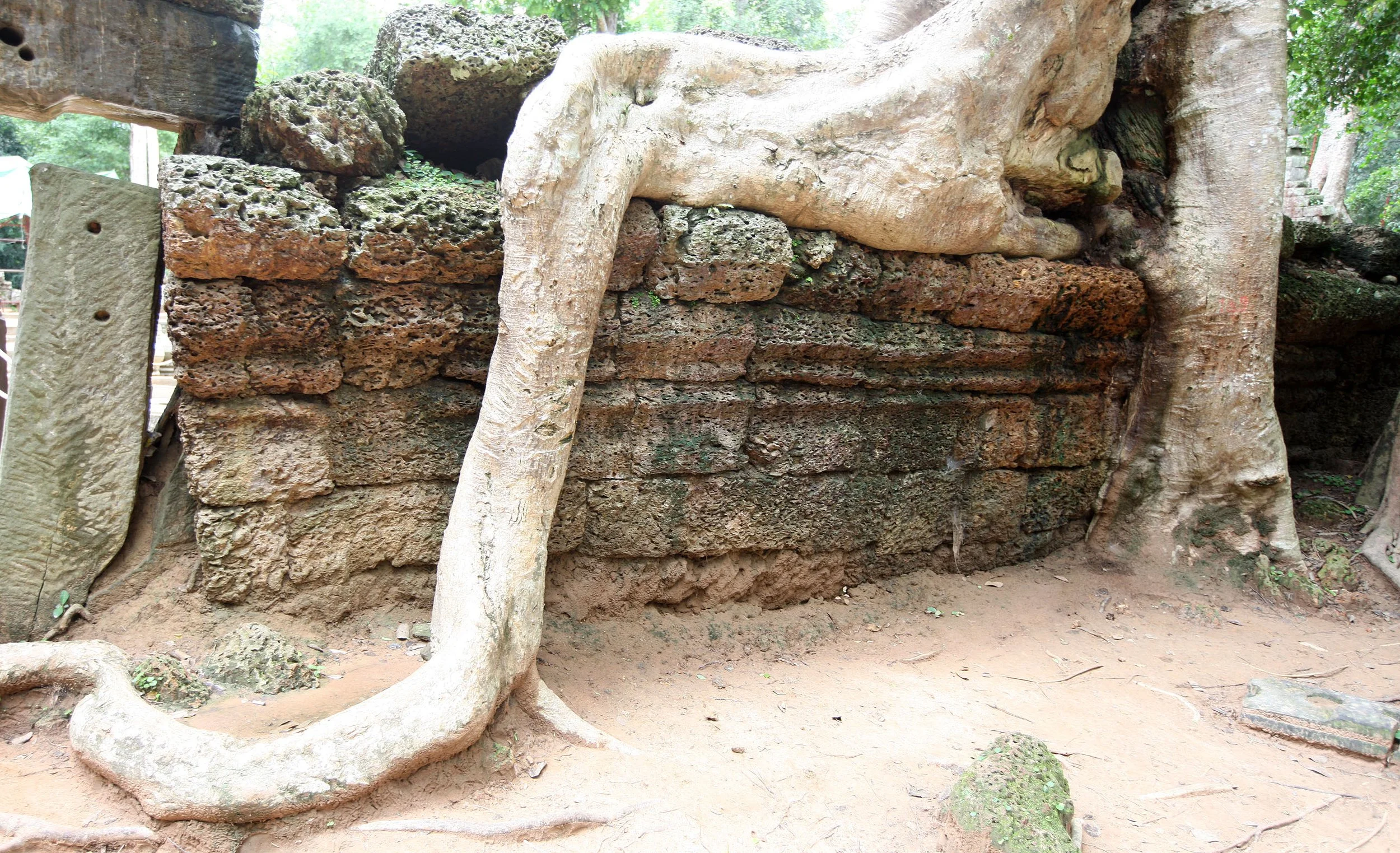 TA PROHM TEMPLE CAMBODIA - JULY 2010 (2).JPG
