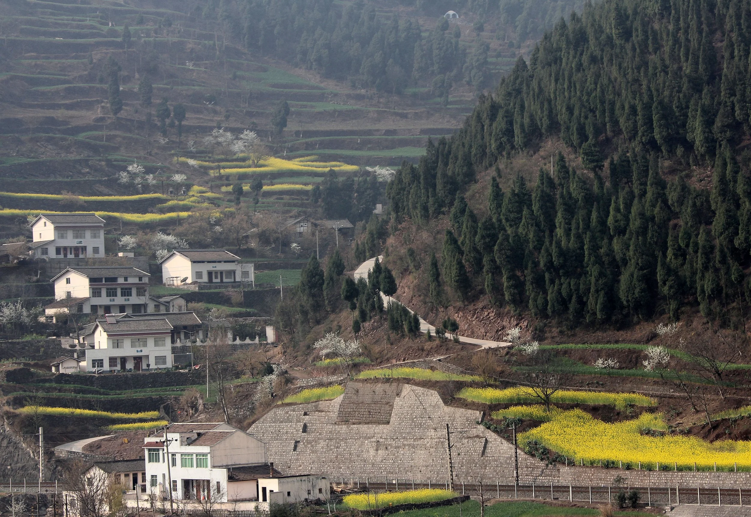 QINGCHUAN AND SURROUNDING AREA - SICHUAN CHINA (6).JPG