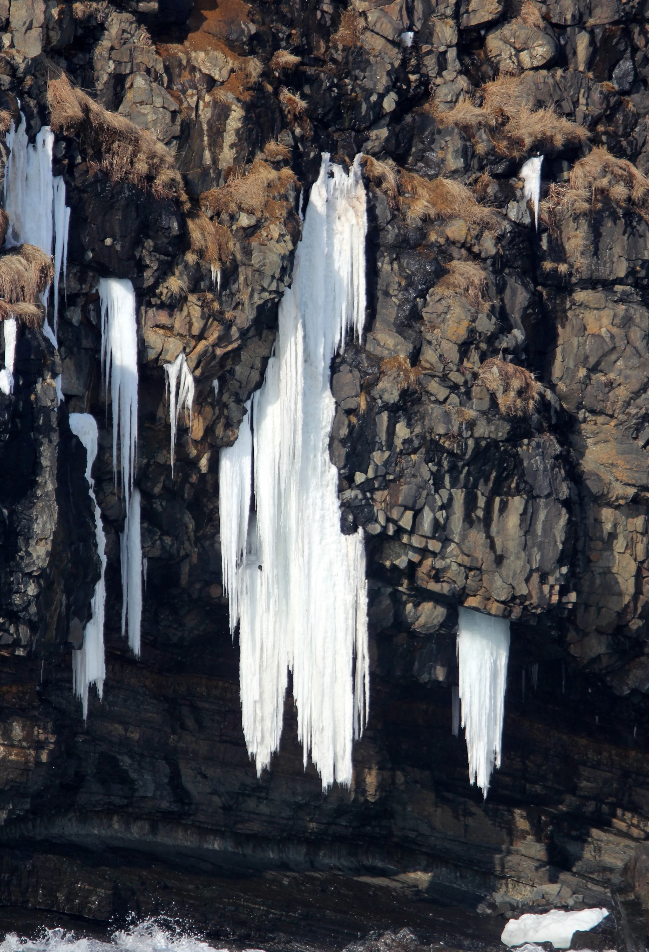 HANASAKI CAPE - NEMURO PENINSULA - HOKKAIDO JAPAN (7).JPG